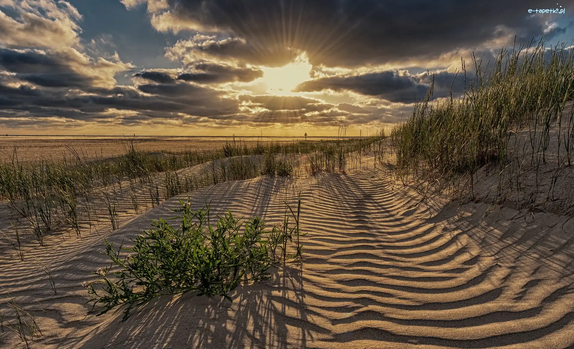 Plaża, Piaszczyste, Wybrzeże, Sankt Peter-Ording, Niemcy, Promienie słońca, Morze Północne
