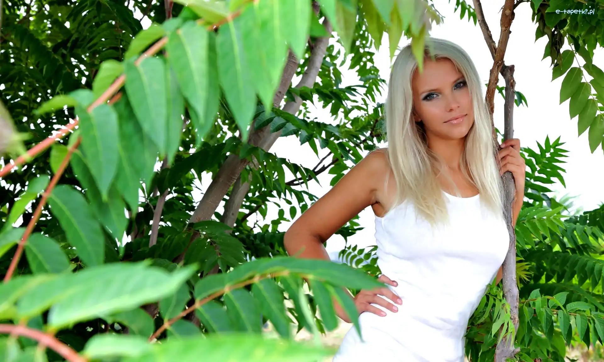 Blondynka, Drzewa, Gałęzie, Kobieta
