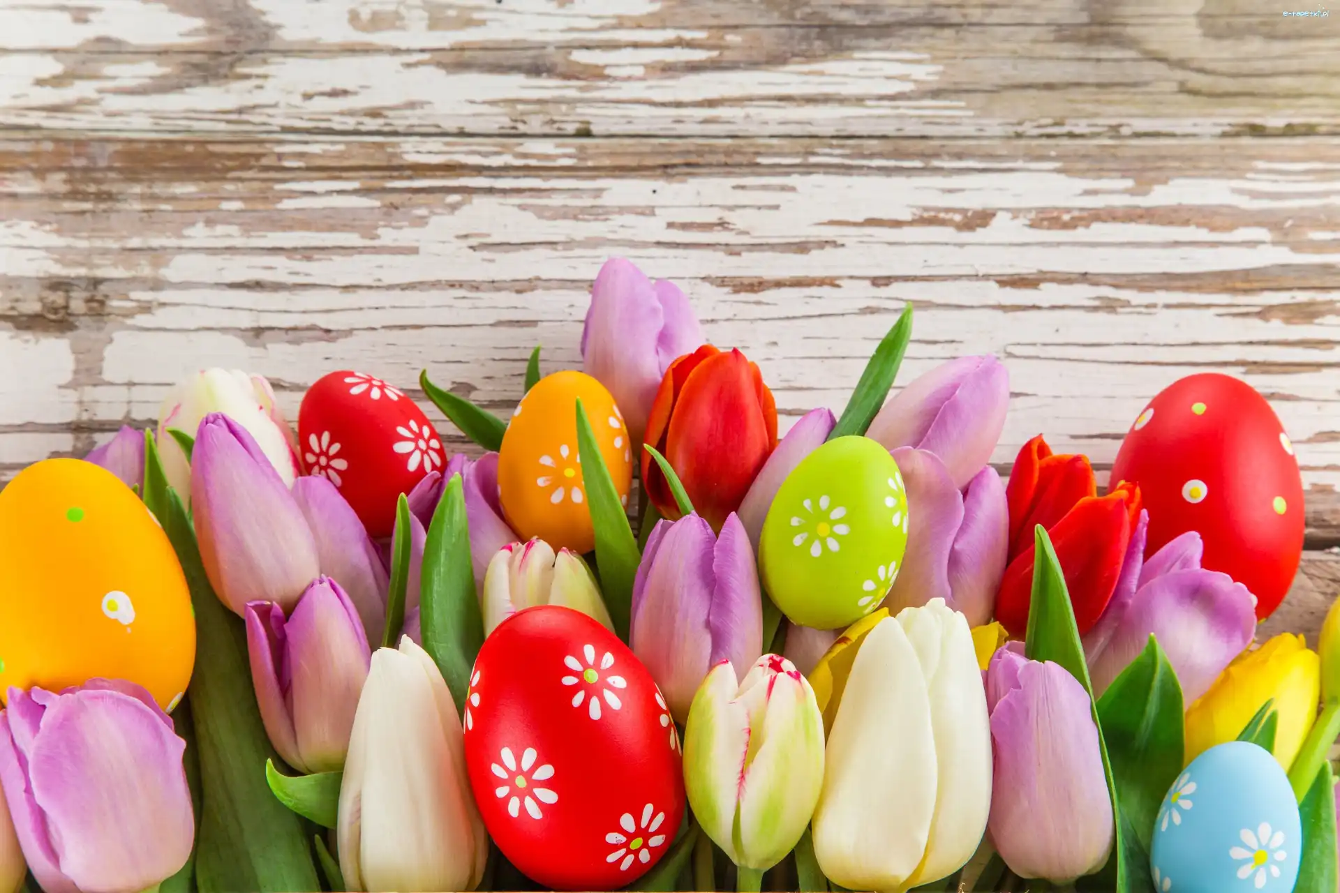 Wielkanoc, Tulipany, Pisanki, Kompozycja