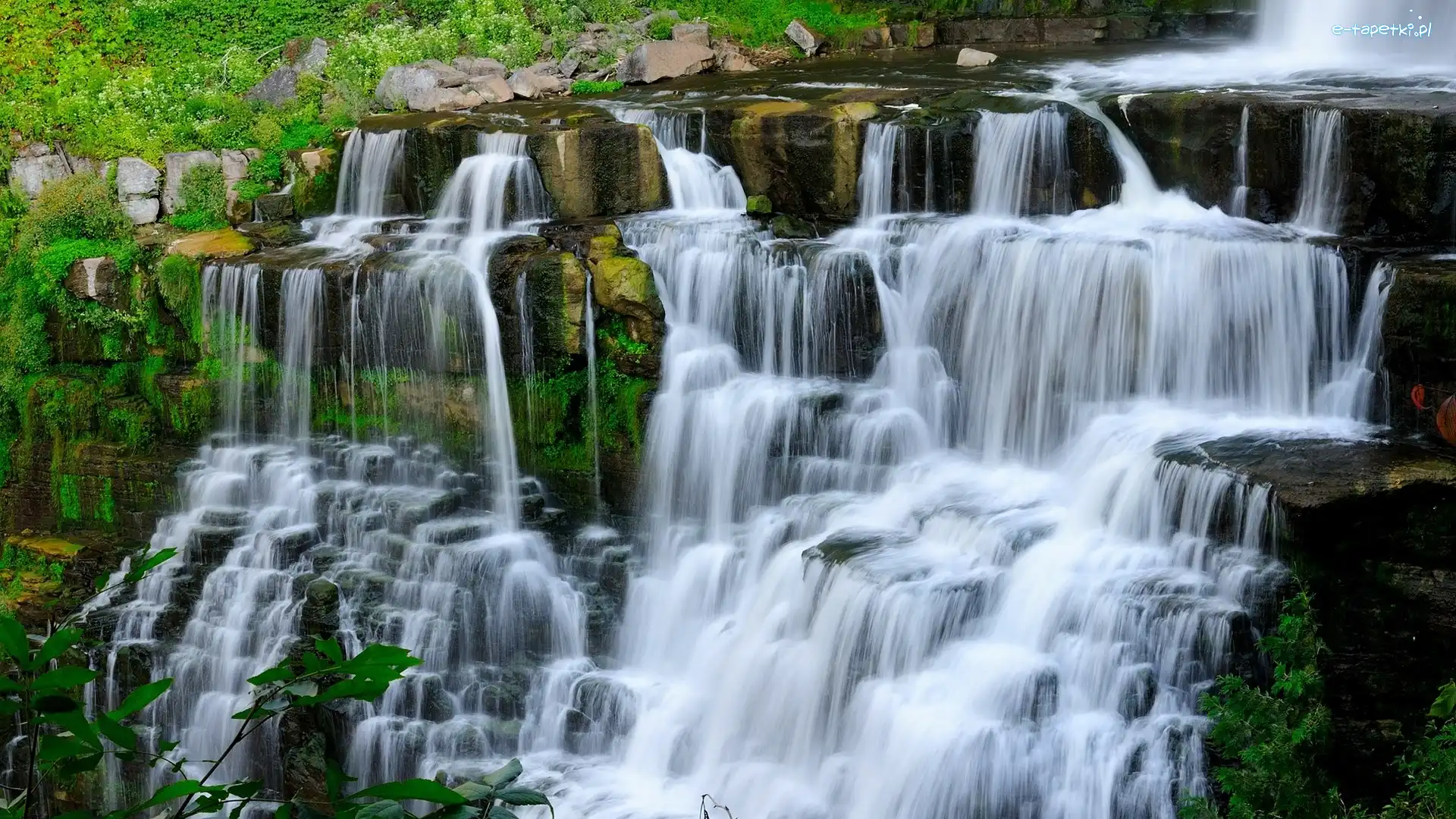 Chittenango Falls State Park, Kamienie, Rośliny, Nowy Jork, Skały, Wodospad