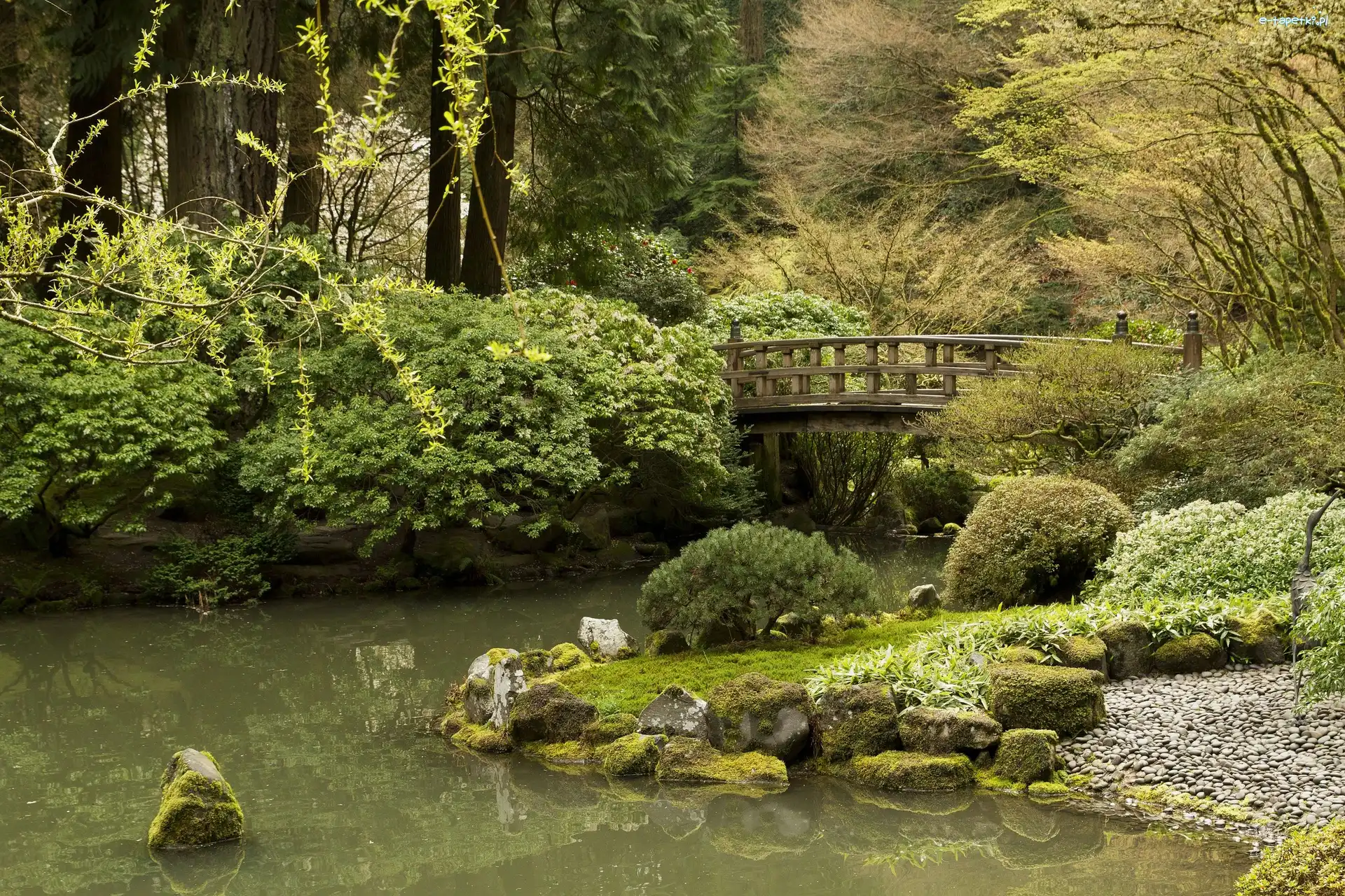 Ogród japoński, Stan Oregon, Kamienie, Most, Portland, Park, Staw, Stany Zjednoczone