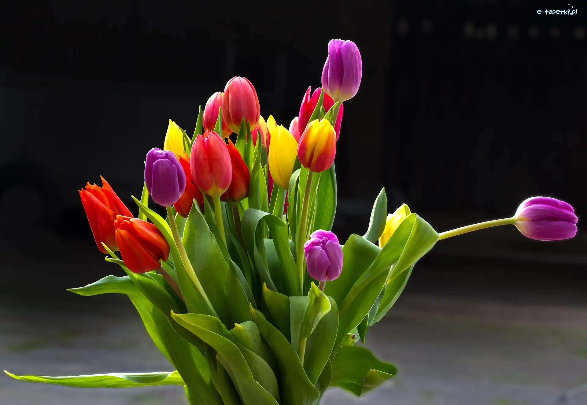 Bukiet, Tulipany, Kolorowe