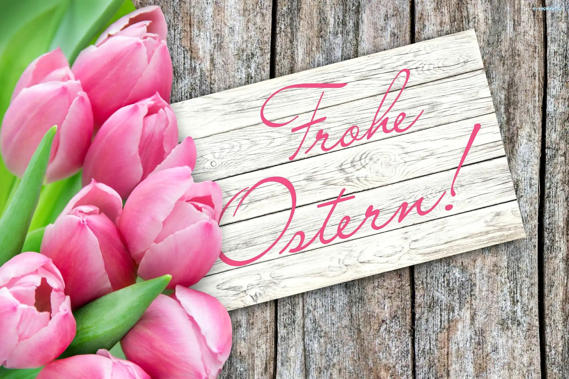Napis, Tulipany, Wielkanoc