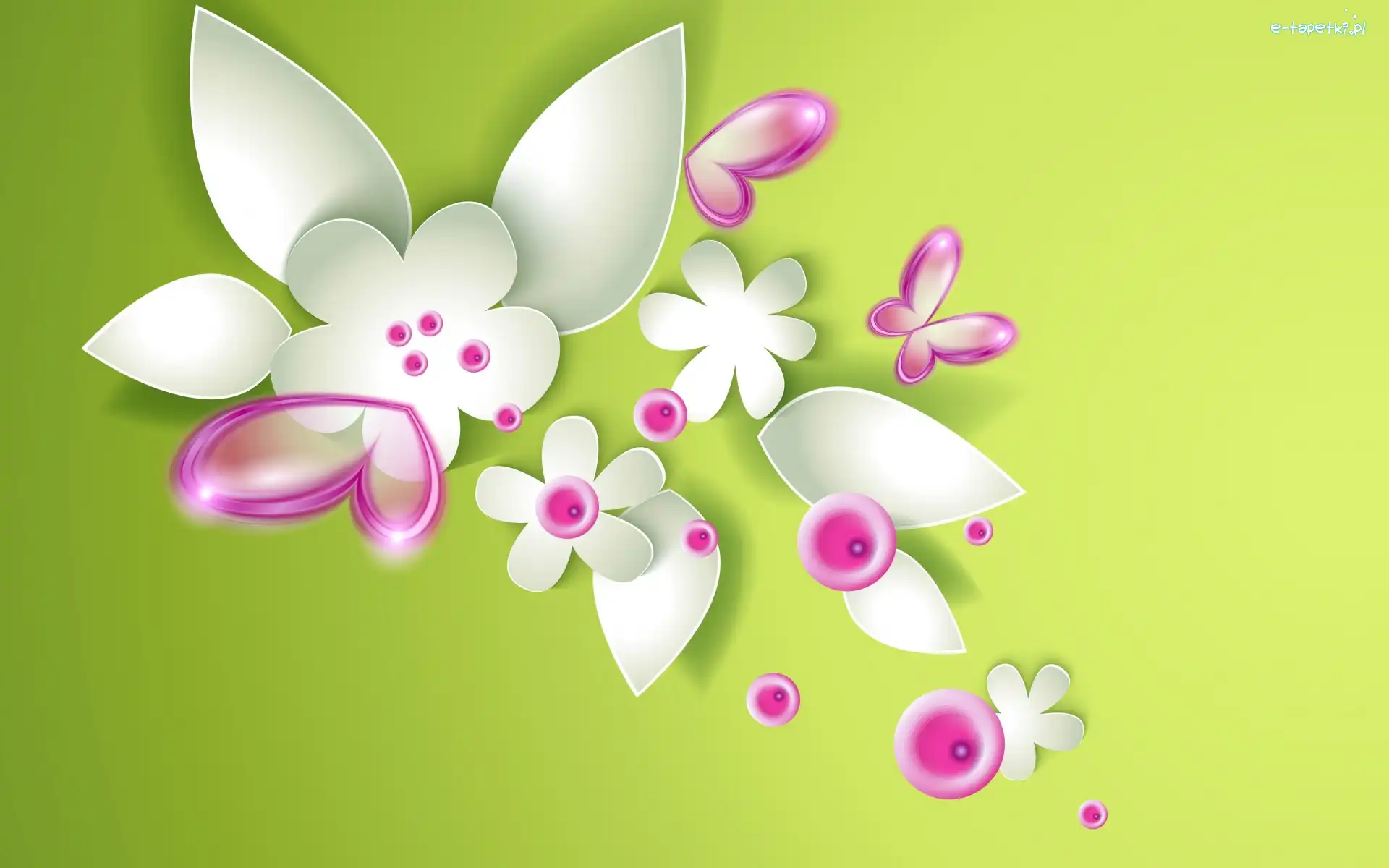 Grafika 2D, Motyle, Kwiaty
