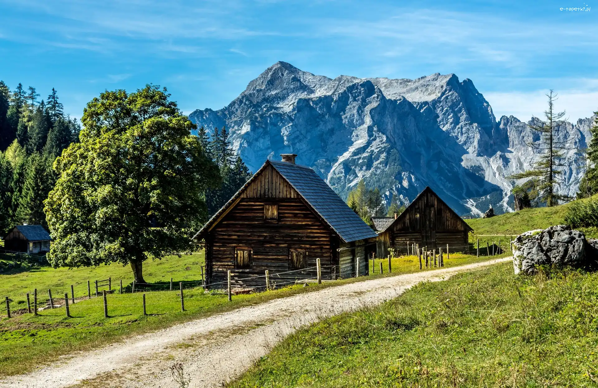 Góry, Styria, Drzewa, Droga, Gmina Johnsbach, Szczyt Tamischbachturm, Domy, Austria