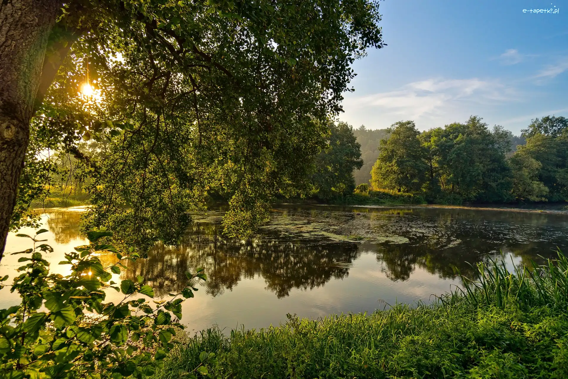 Wschód słońca, Drzewa, Rzeka