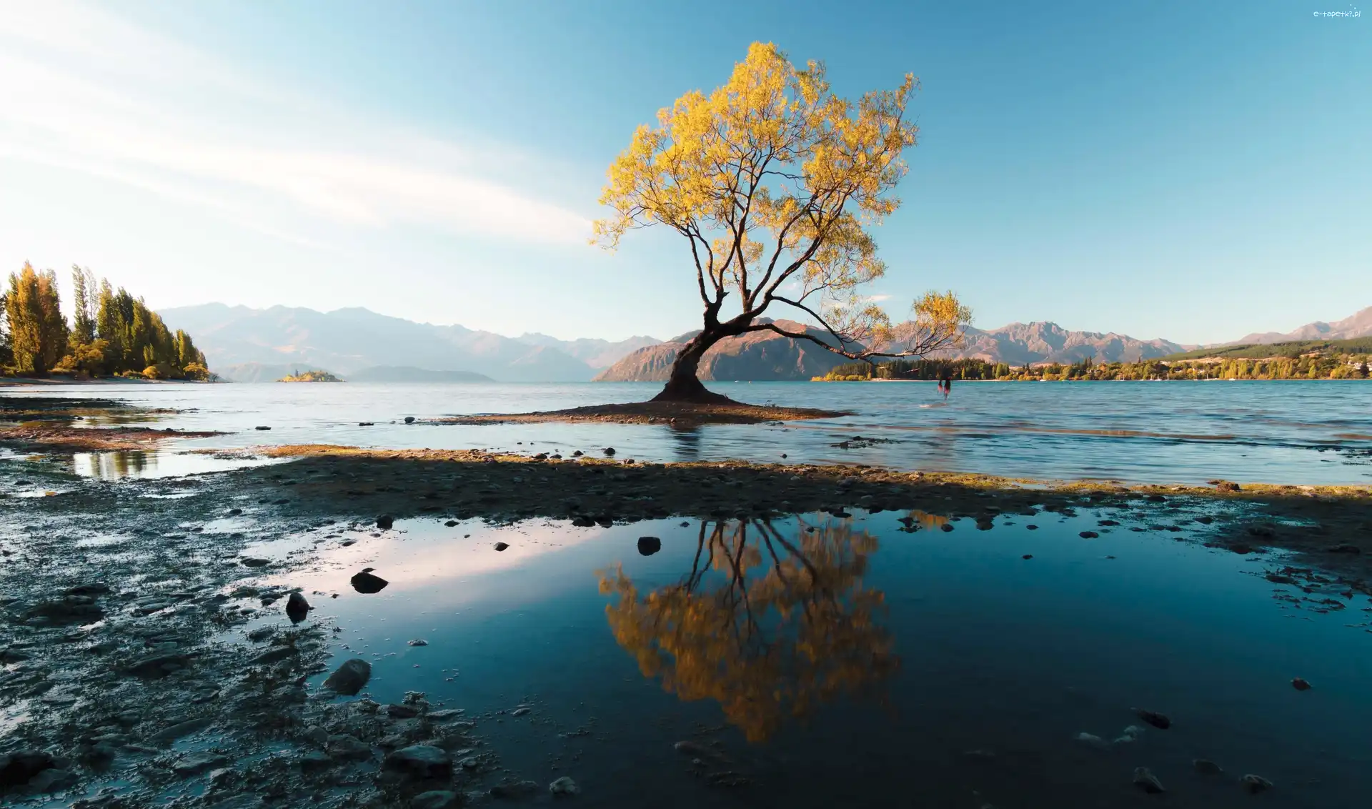Góry, Drzewo, Jezioro Wanaka, Nowa Zelandia