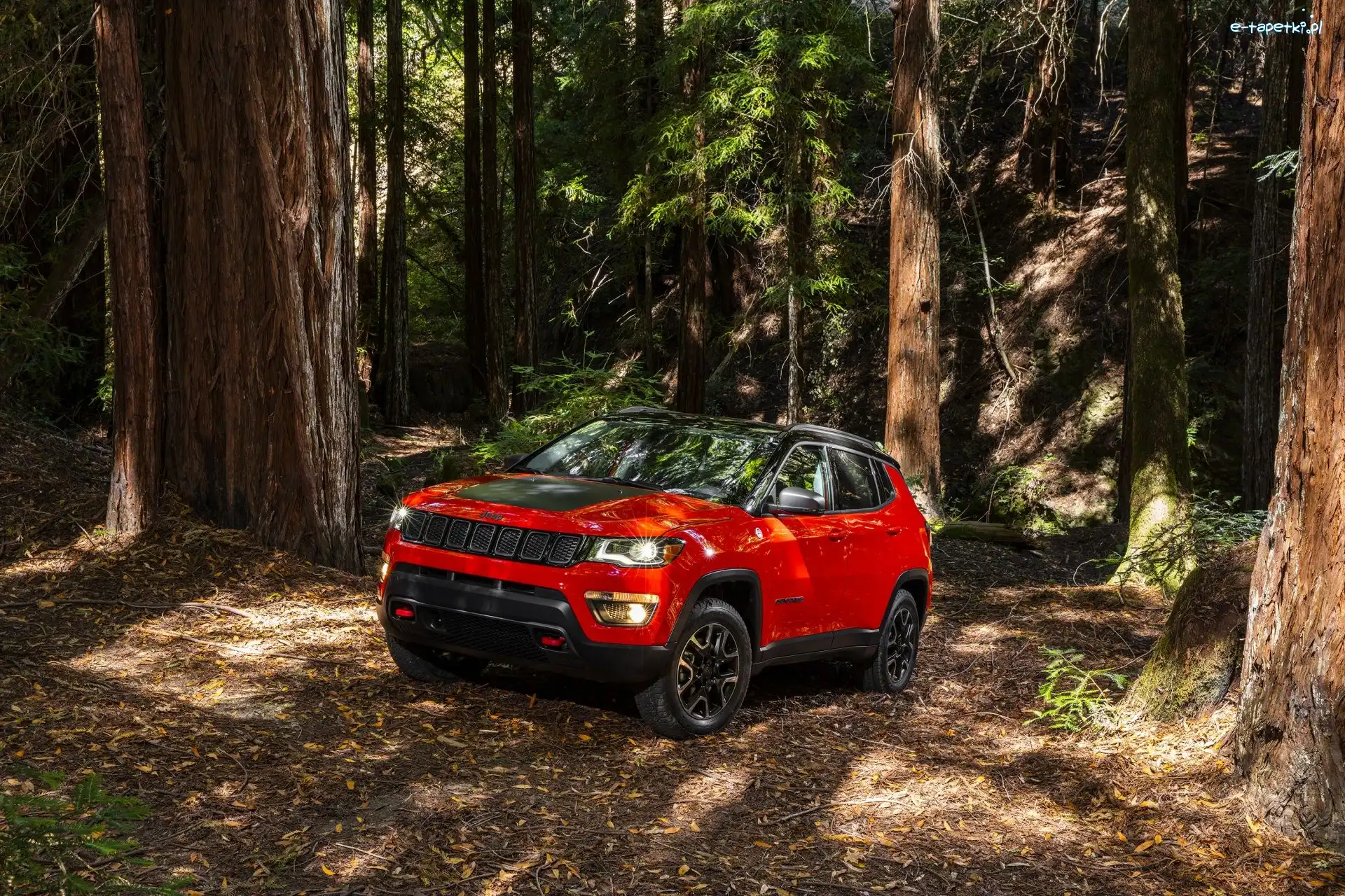 Jeep Compass Trailhawk, Las, 2017, Czerwony