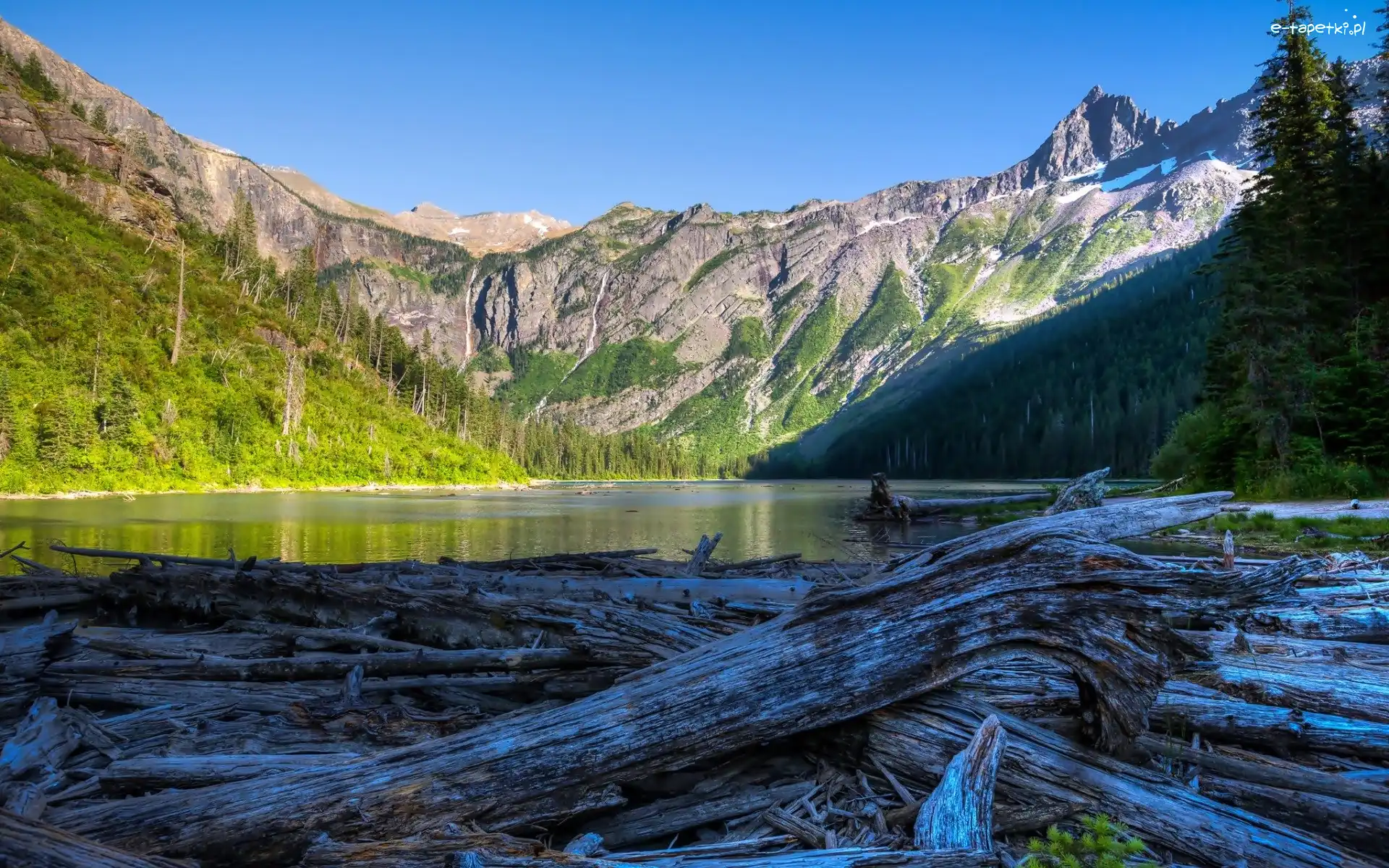 Góry, Park Narodowy Glacier, Jezioro Avalanche, Kłody, Stan Montana, Stany Zjednoczone