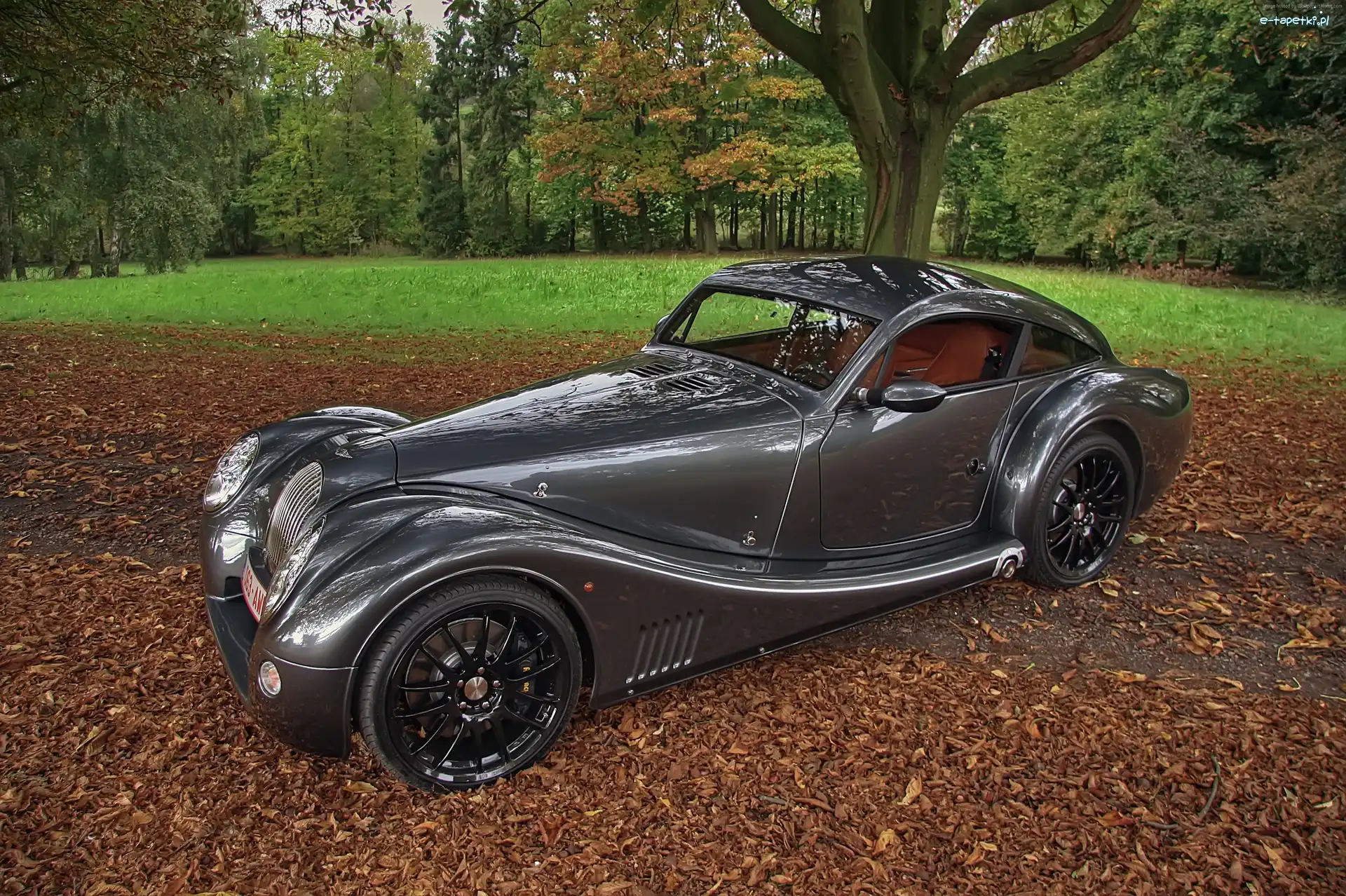 Liście, Park, Morgan Aero 8