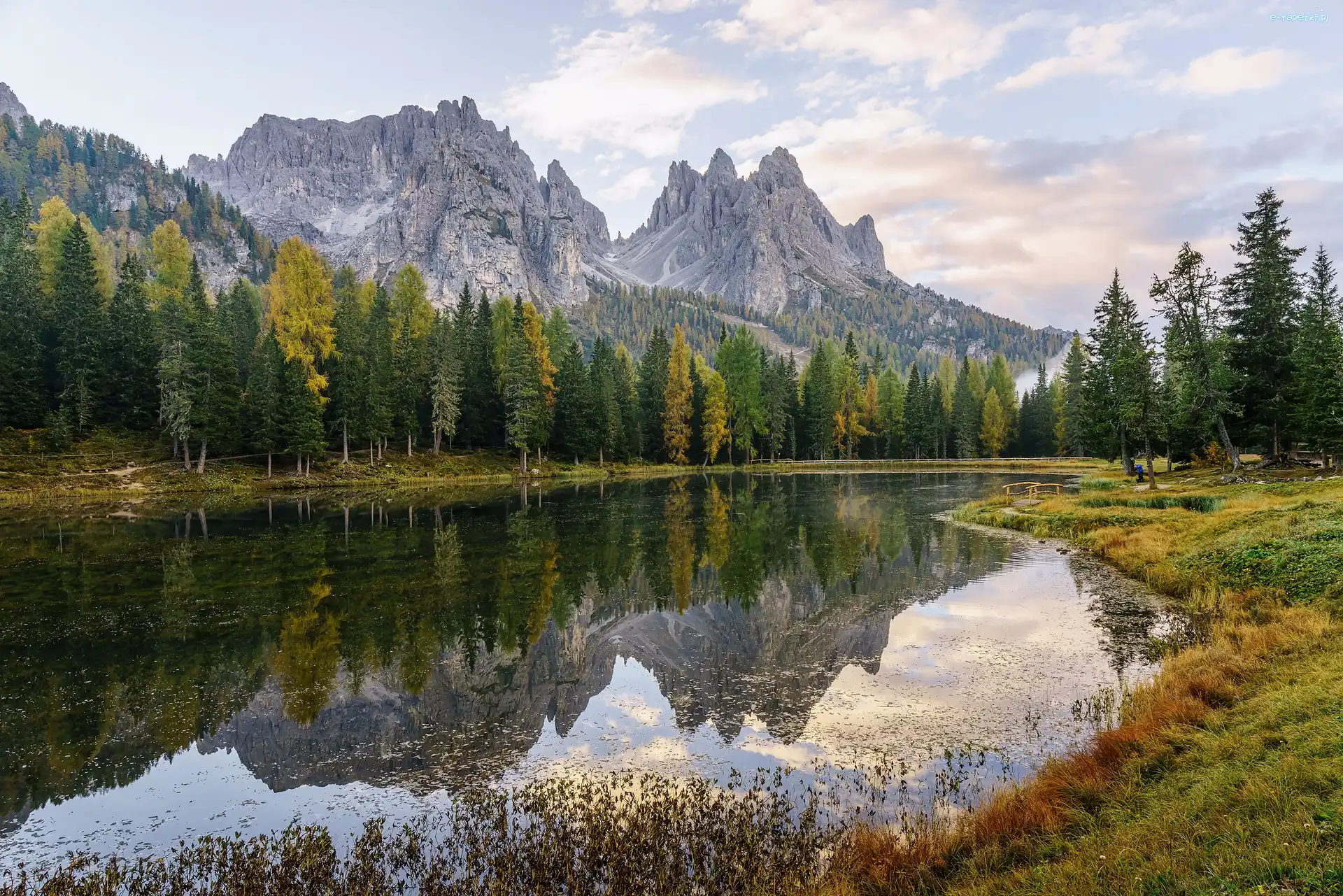 Trawa, Jezioro Lago di Antorno, Góry, Dolomity, Włochy, Drzewa, Las