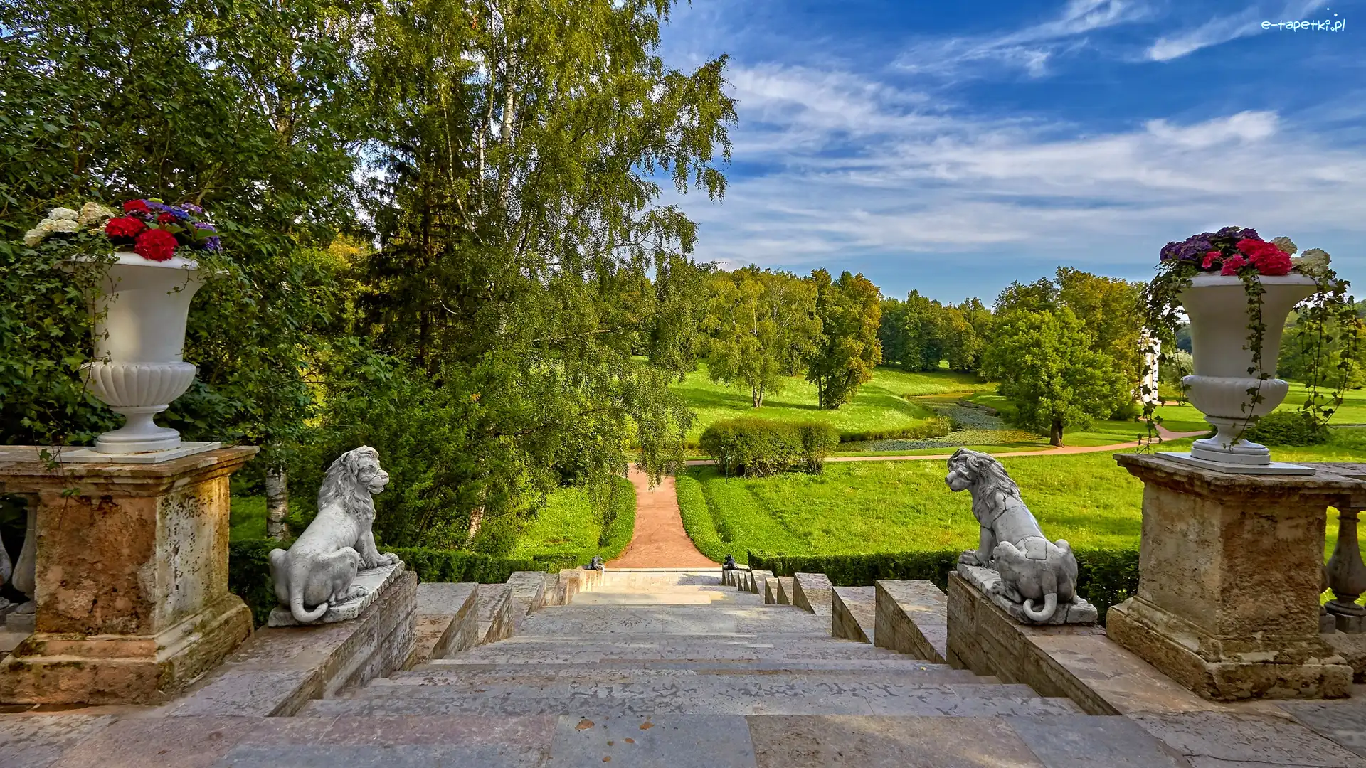Park, Petersburg, Drzewa, Donice, Pawłowsk, Schody, Lwy, Rosja