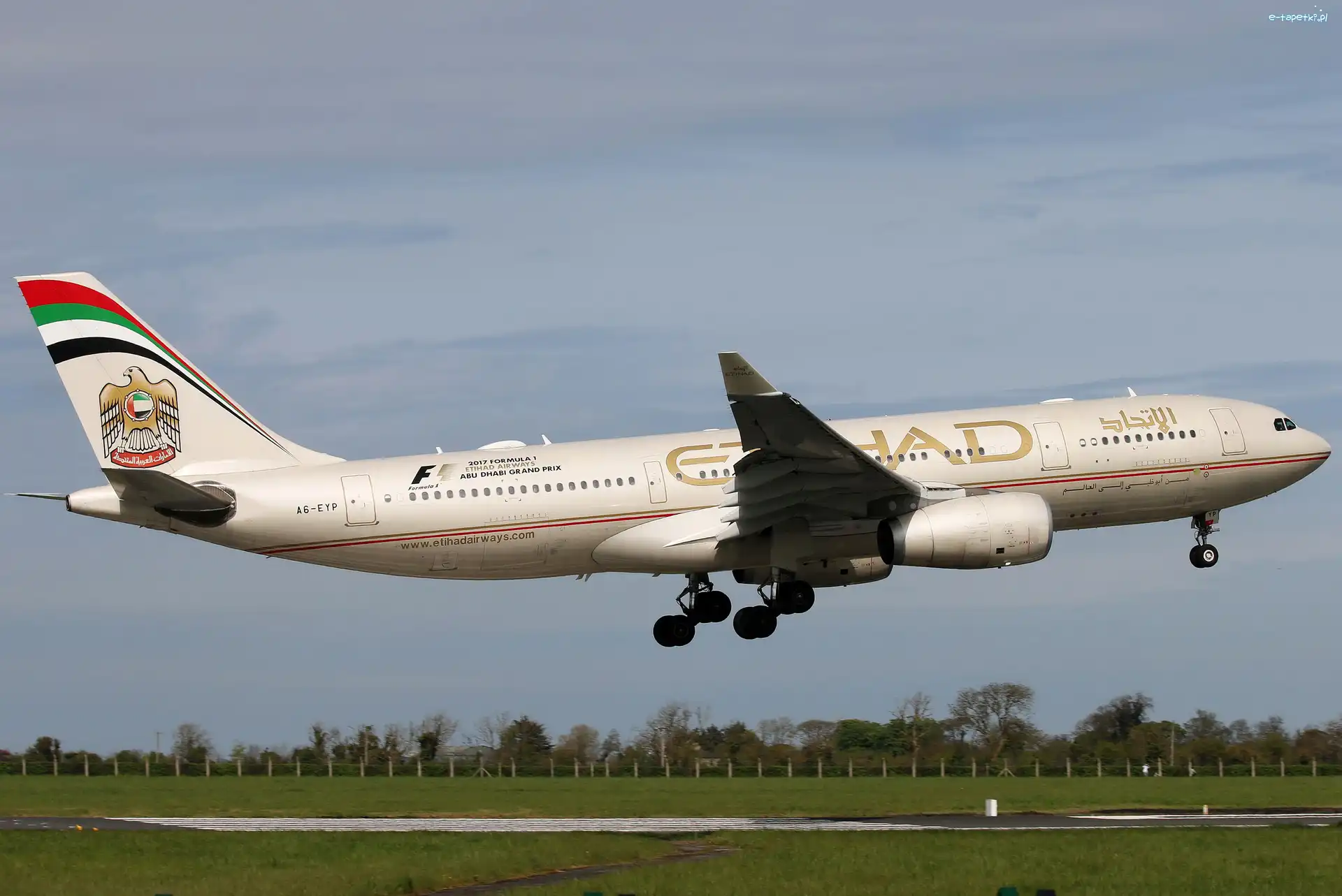 A6-EYP Airbus A330-243, Pasażerski, Samolot