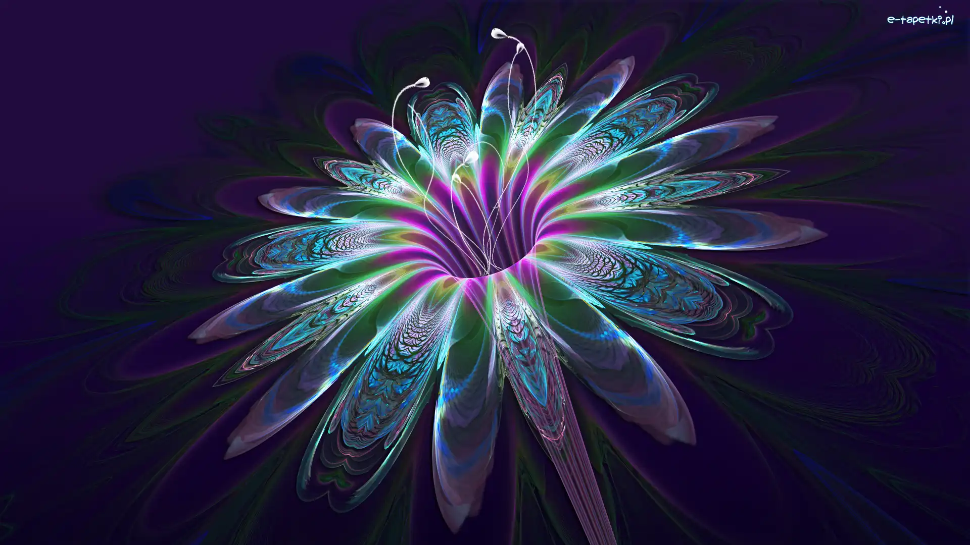 Kwiat, Rozmyty, Grafika 3D