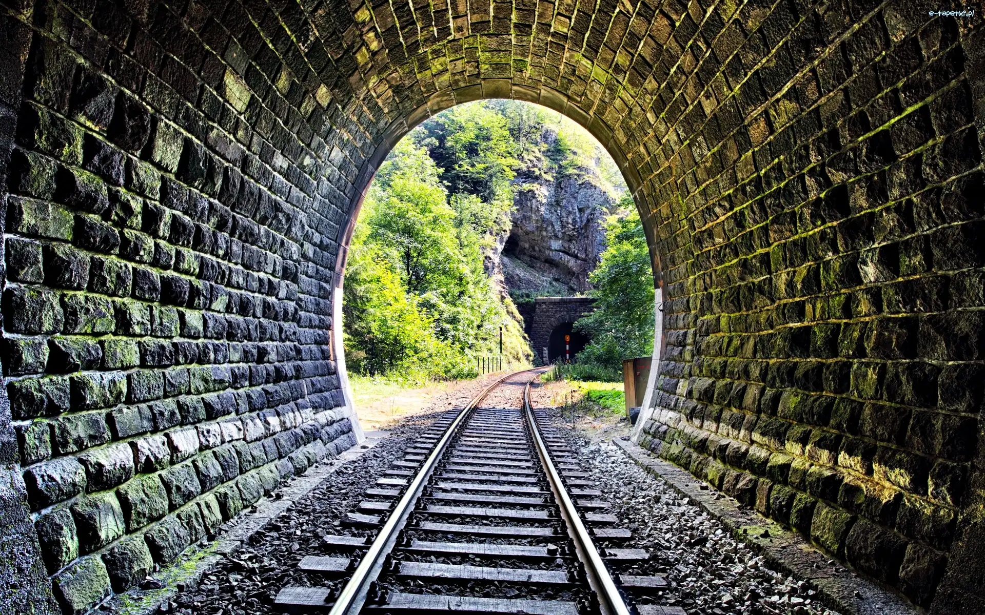Tunel, Drzewa, Skały, Tory kolejowe