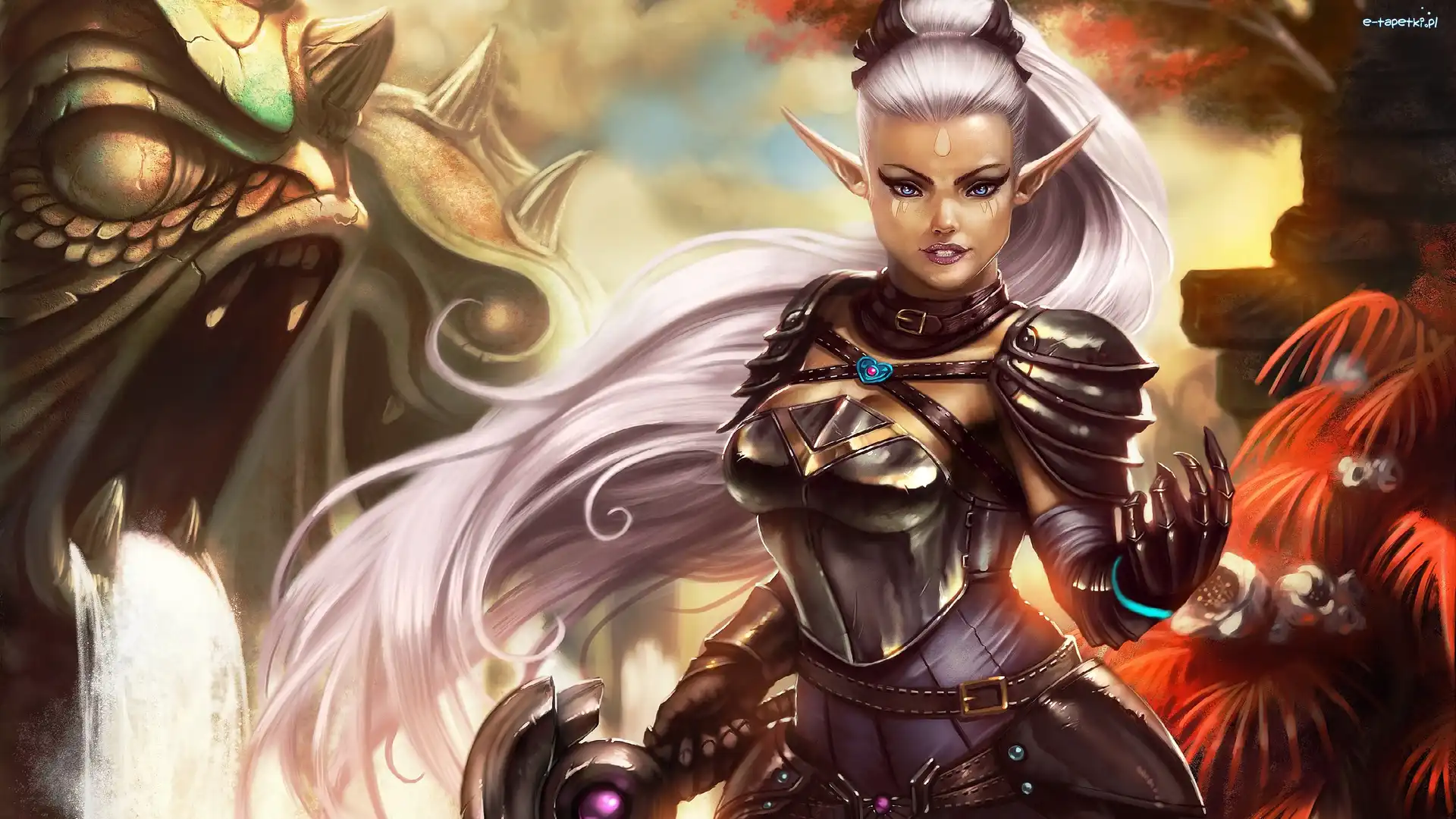 Wojowniczka Adalia, Elf, Saga o Wiedźminie, Potwór, Kobieta, Fantasy