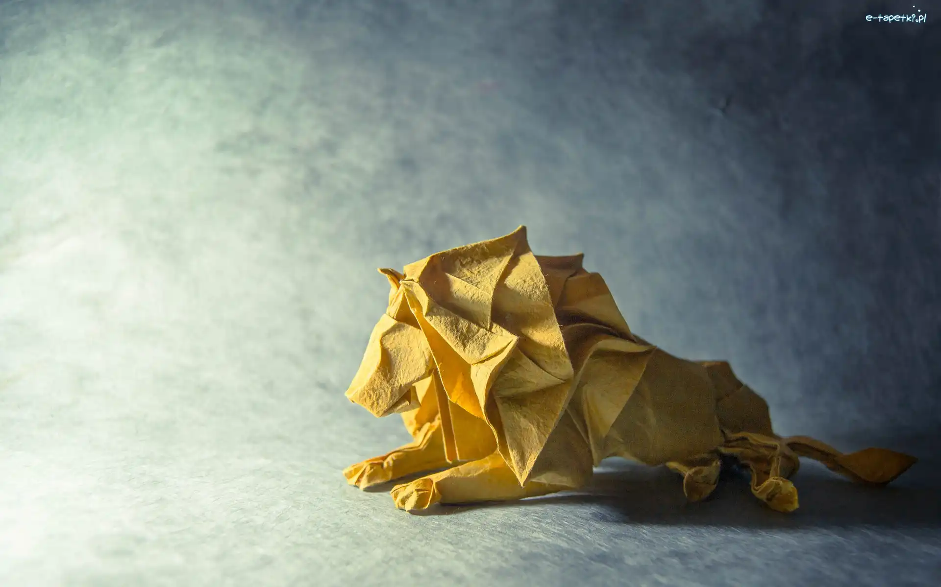 Światło, Lew, Origami