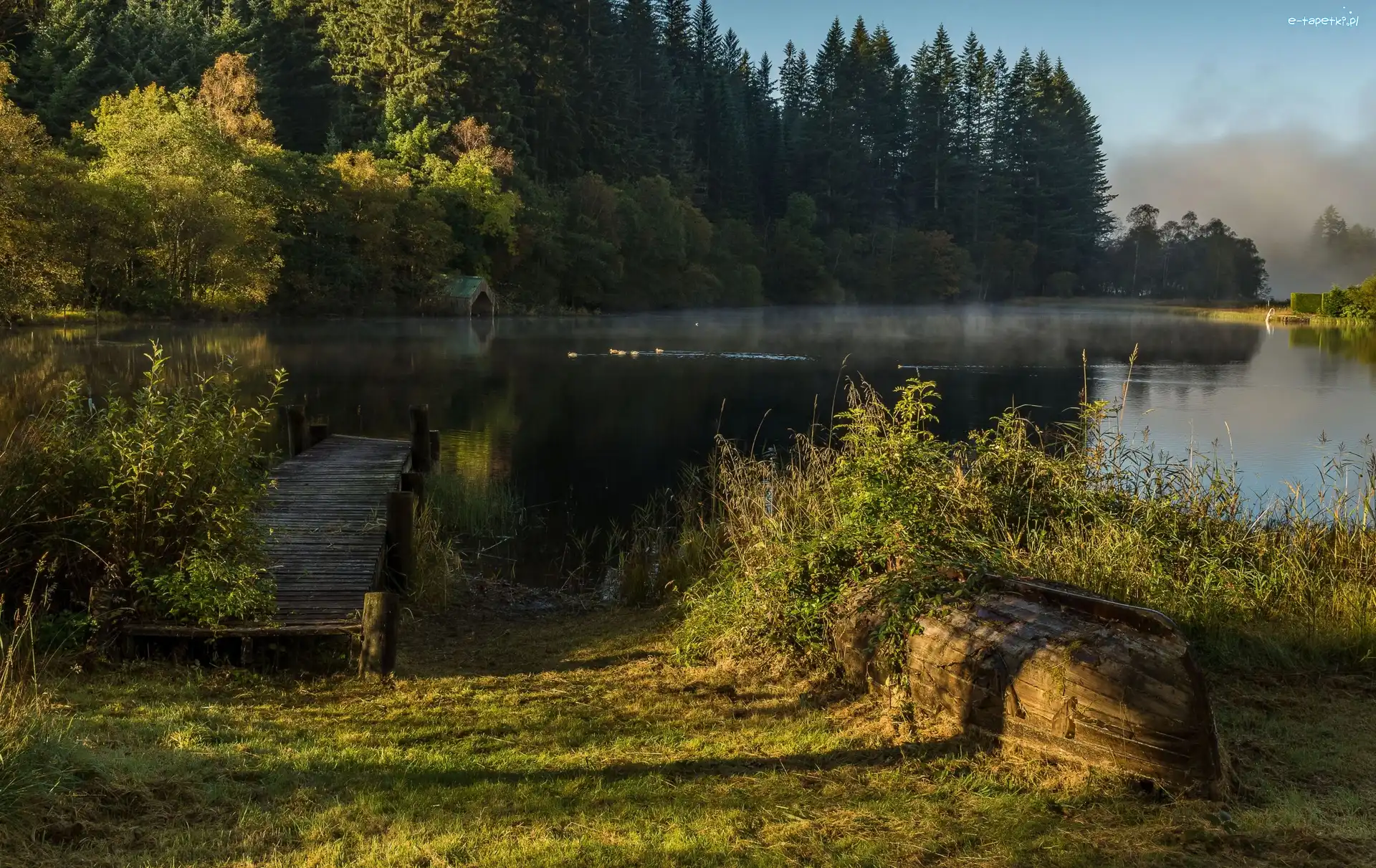 Wieczór, Trossachs, Zarośla, Pomost, Jezioro, Las, Łódź, Szkocja