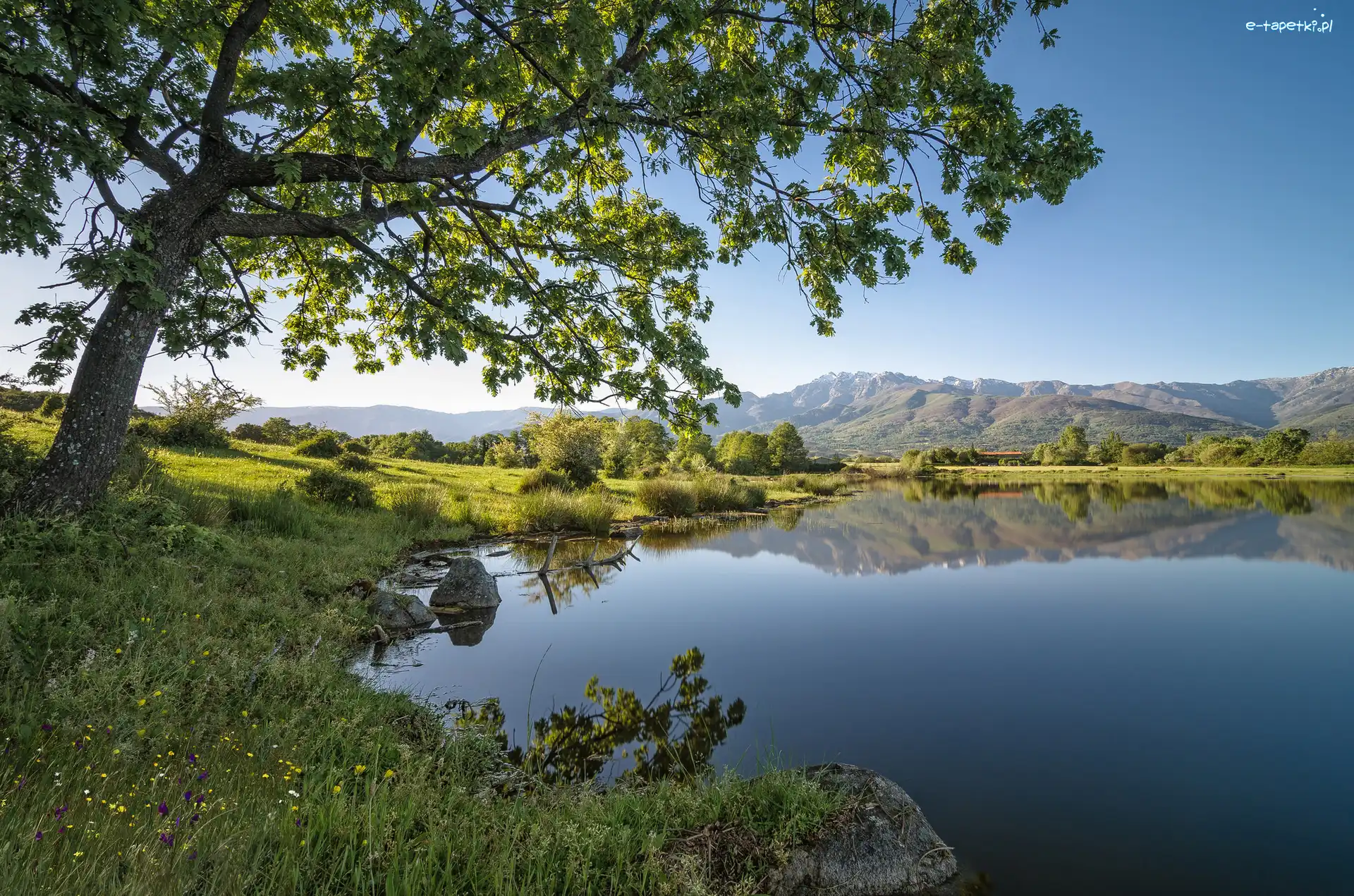 Hiszpania, Zbiornik Embalse de Rosarito, Jezioro, Góry, Drzewa
