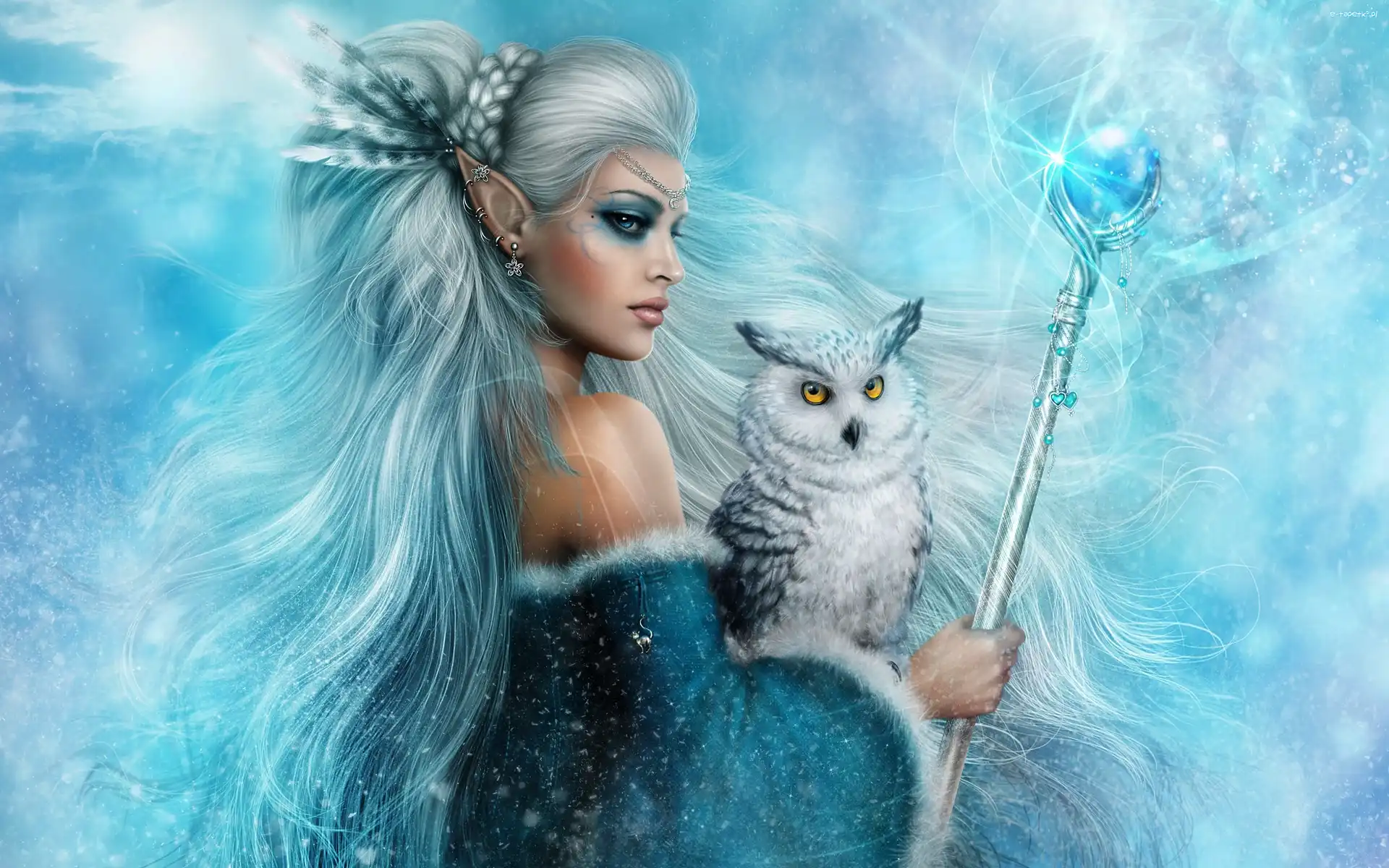 Kobieta, Berło, Elf, Fantasy, Sowa
