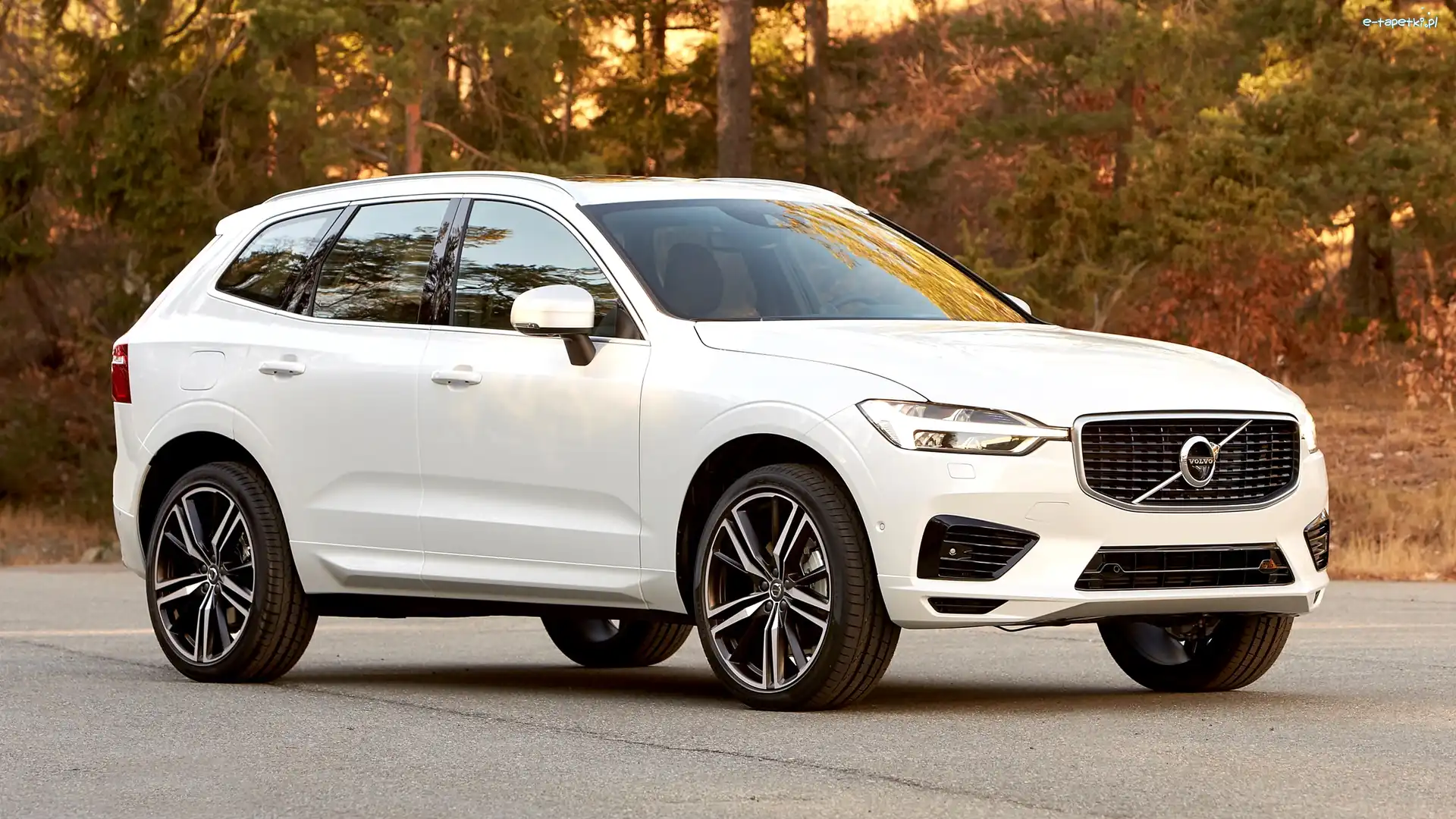 Volvo XC60, Las, 2017, Białe