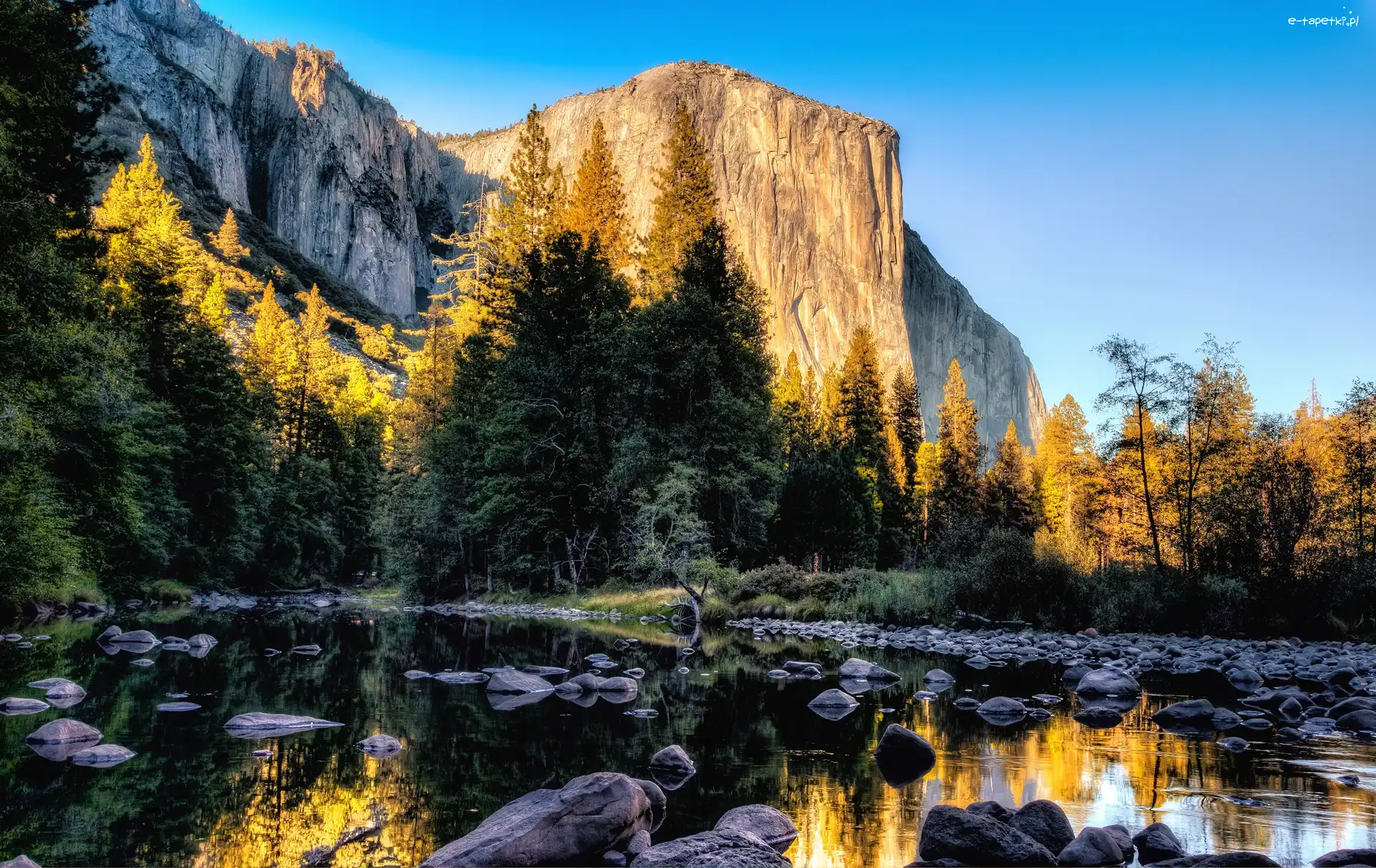 Drzewa, Park Narodowy Yosemite, Góry, Kalifornia, Stany Zjednoczone, Kamienie, Rzeka