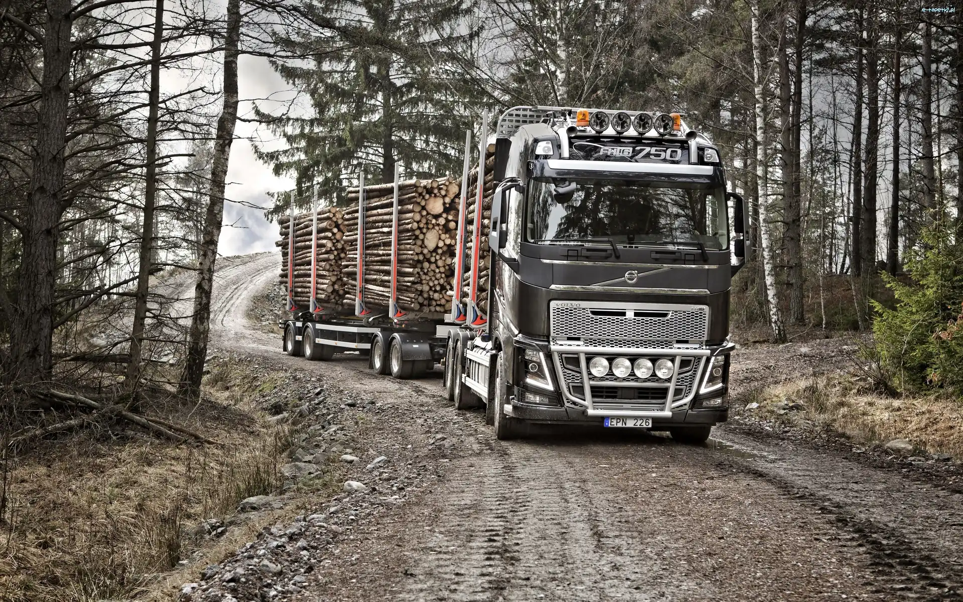 Volvo FH 16 250, Las, Droga, Ciężarówka