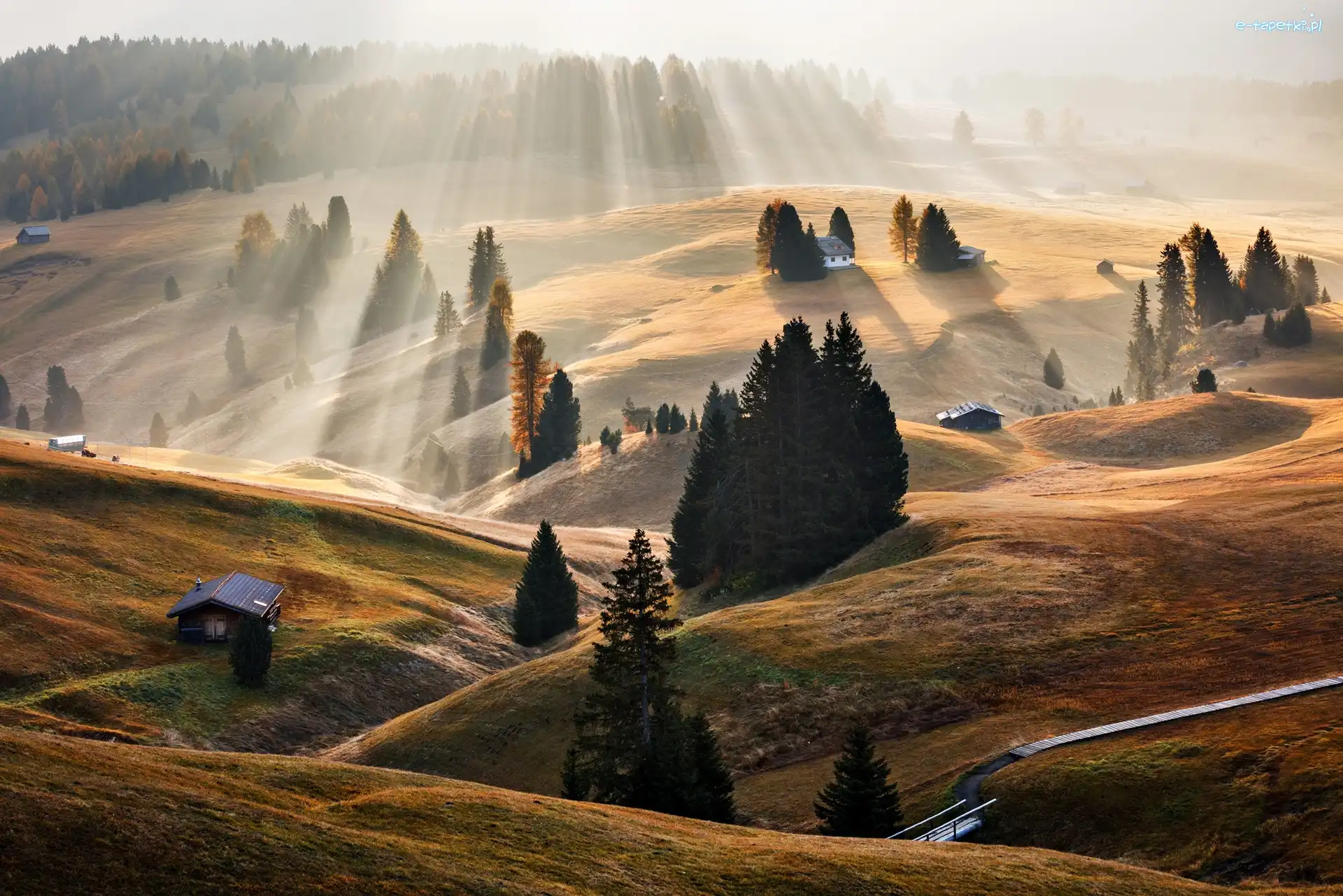 Drzewa, Dolina, Świt, Dolomity, Włochy, Domy, Promienie słońca