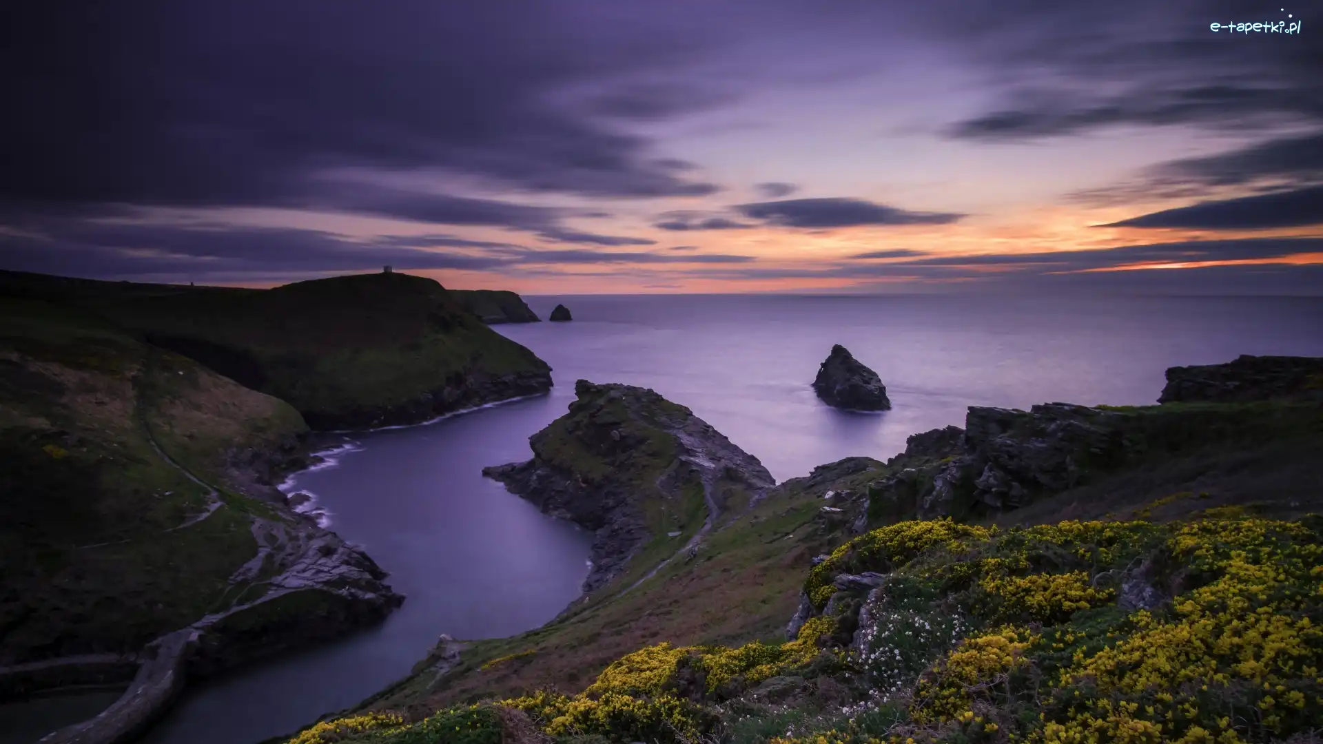 Roślinność, Boscastle, Morze Celtyckie, Kornwalia, Anglia, Zachód słońca, Skały