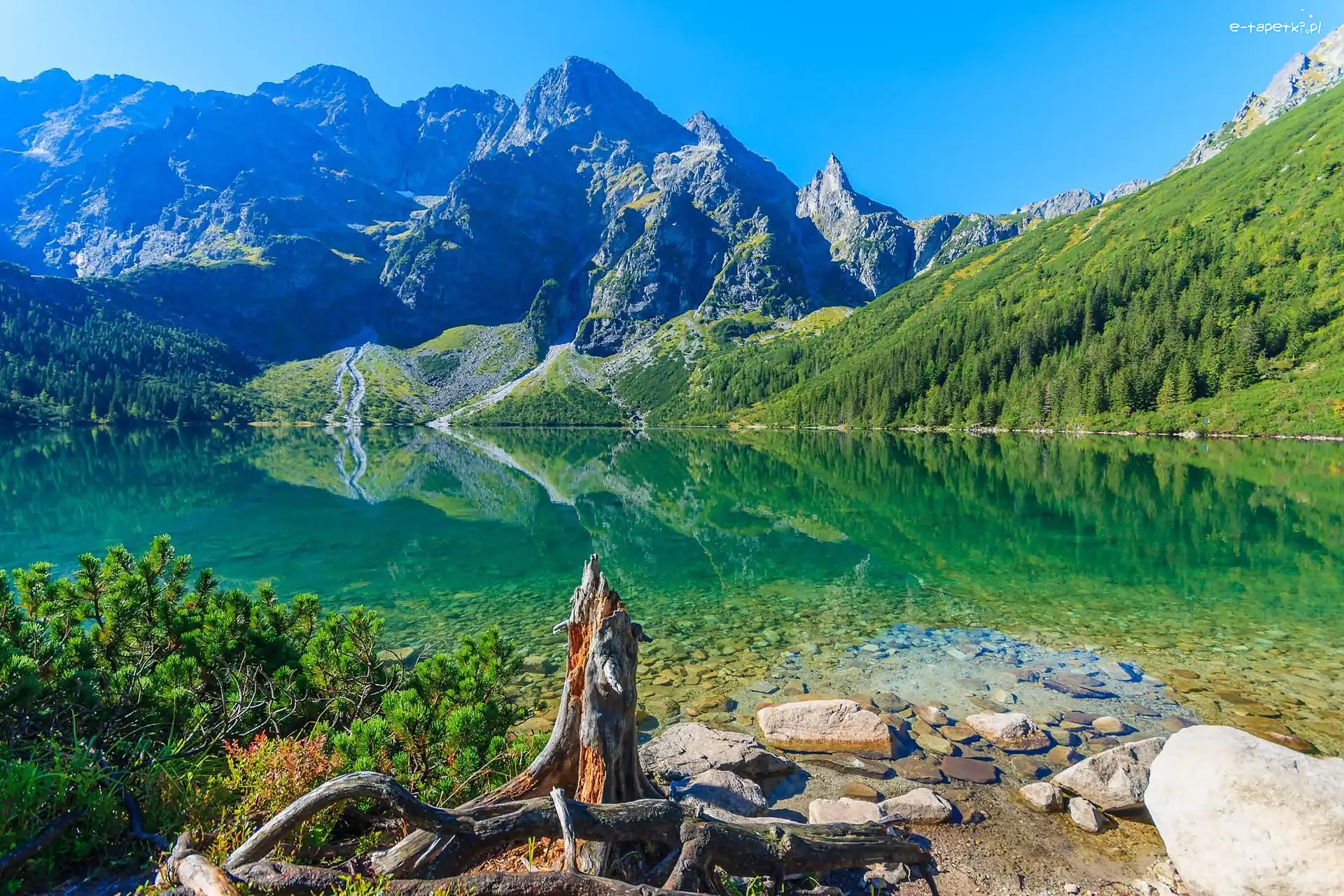 Polska, Mięguszowieckie Szczyty, Jezioro Morskie Oko, Kamienie, Góry Tatry