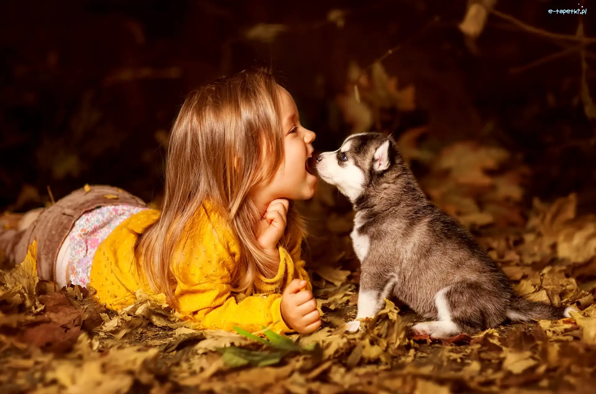 Dziewczynka, Siberian husky, Szczeniak, Liście, Żółte