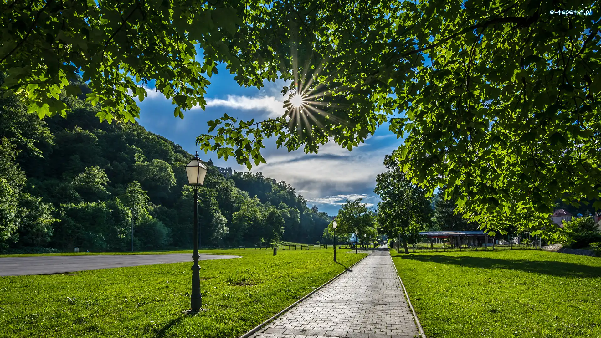 Promienie słońca, Park, Drzewa, Samobor, Chorwacja, Latarnie, Alejka