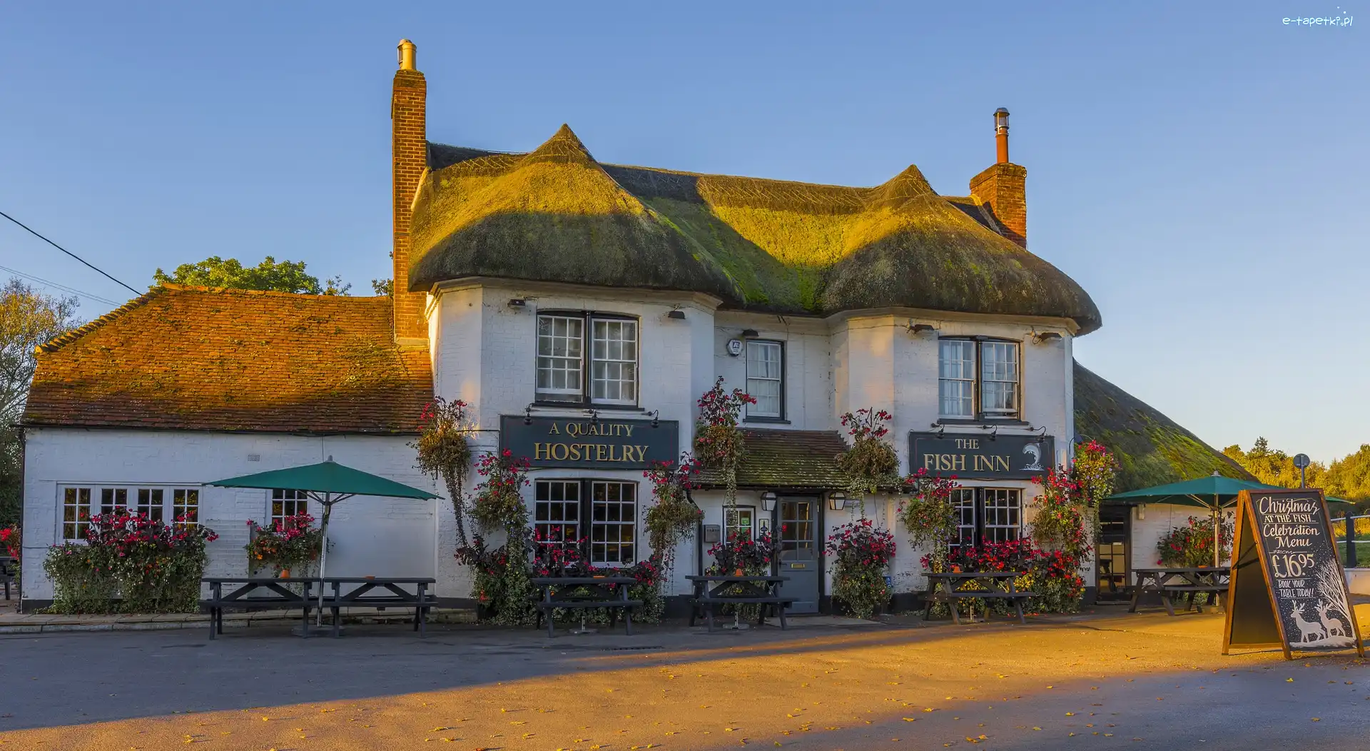 Ringwood, Restauracja The Fish Inn, Dom, Anglia