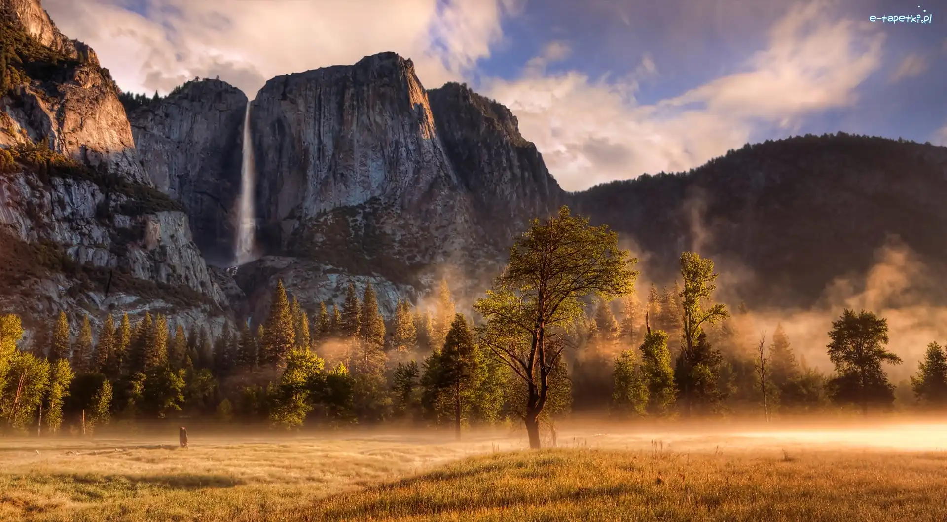 Mgła, Park Narodowy Yosemite, Skały, Stan Kalifornia, Stany Zjednoczone, Góry, Drzewa