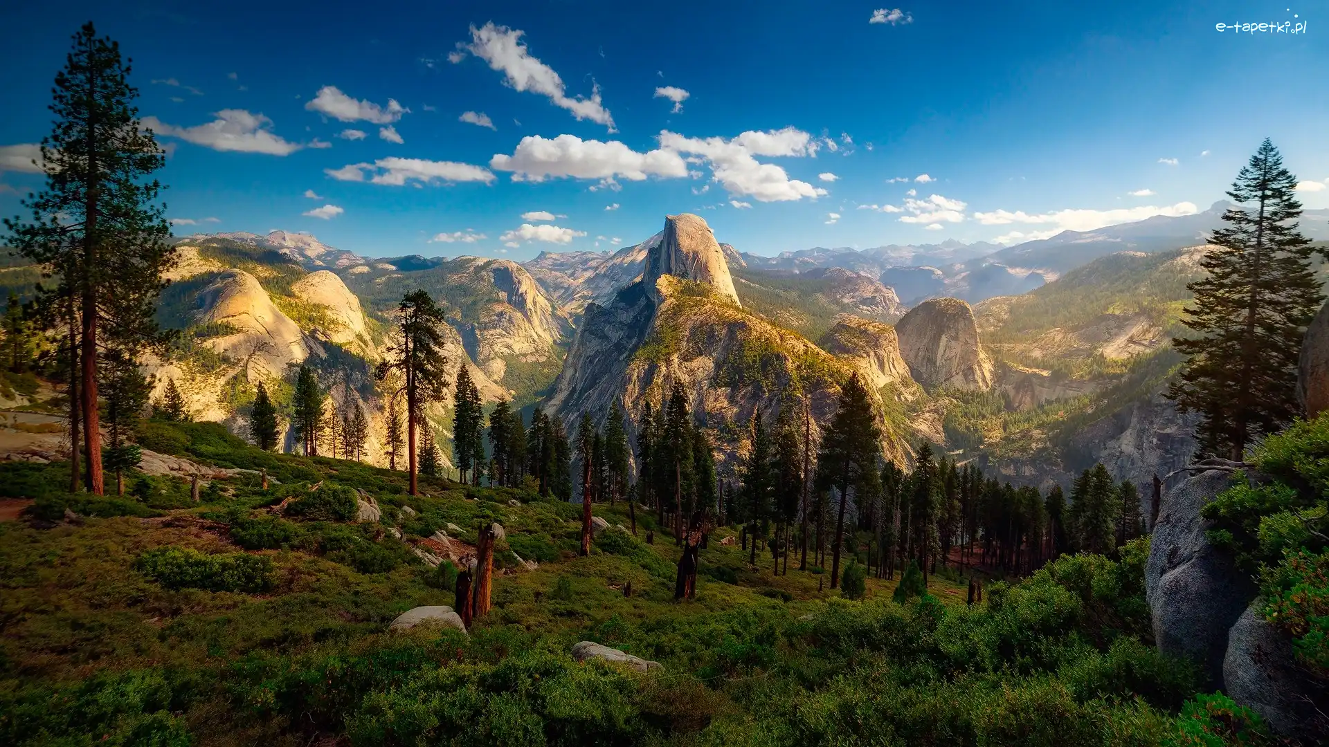 Stany Zjednoczone, Park Narodowy Yosemite, Stan Kalifornia, Drzewo, Góry