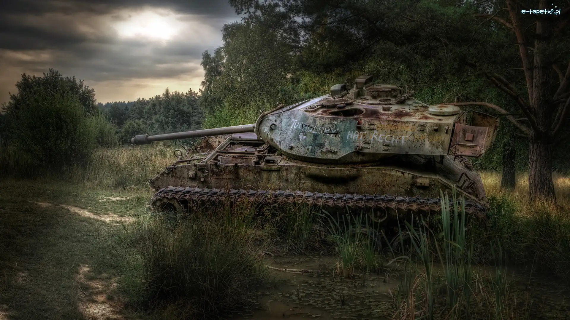 Bagna, M41 Walker Bulldog, Czołg