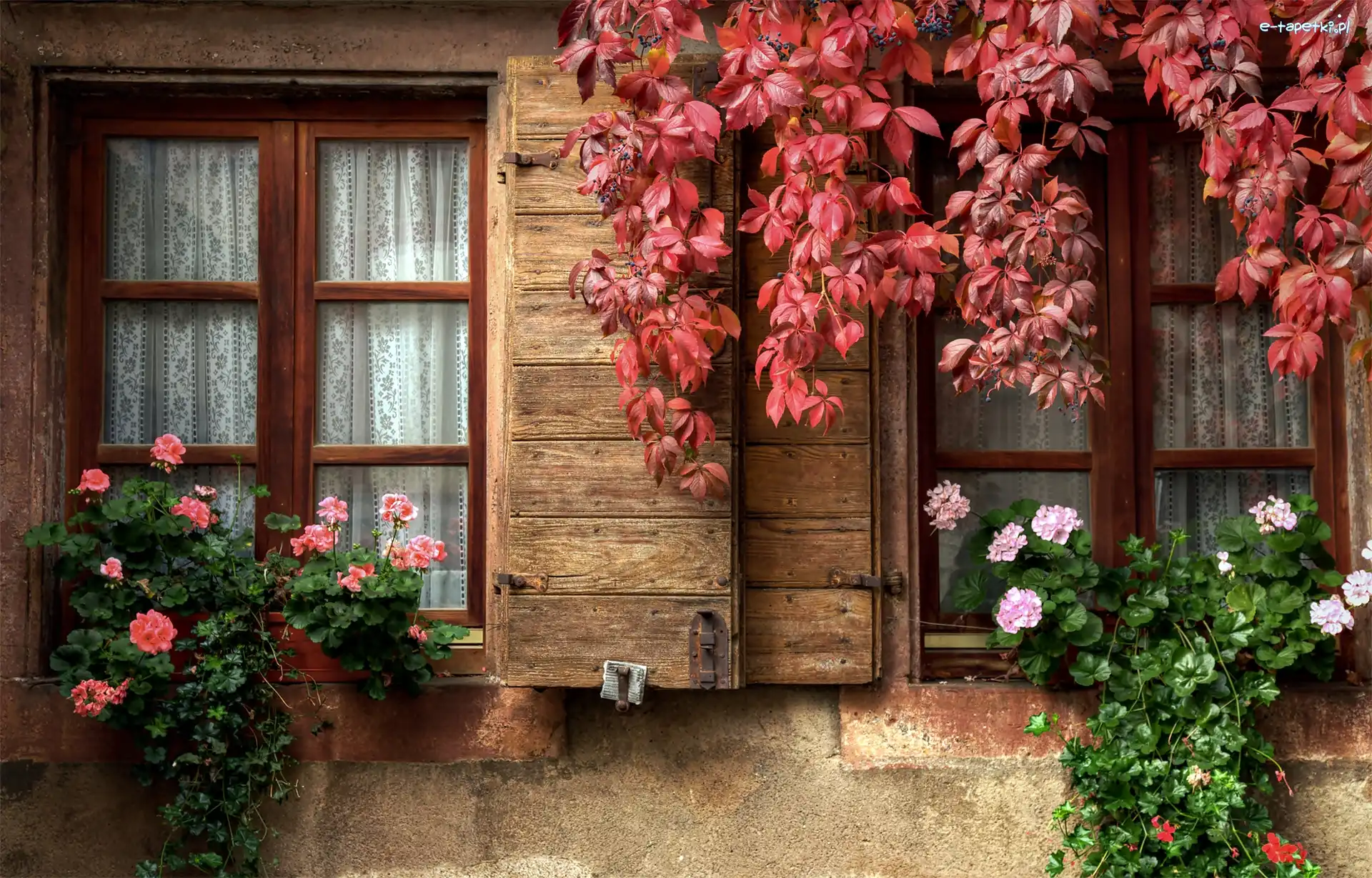 Fasada, Liście, Pelargonie, Dom Liście, Kwiaty, Okna