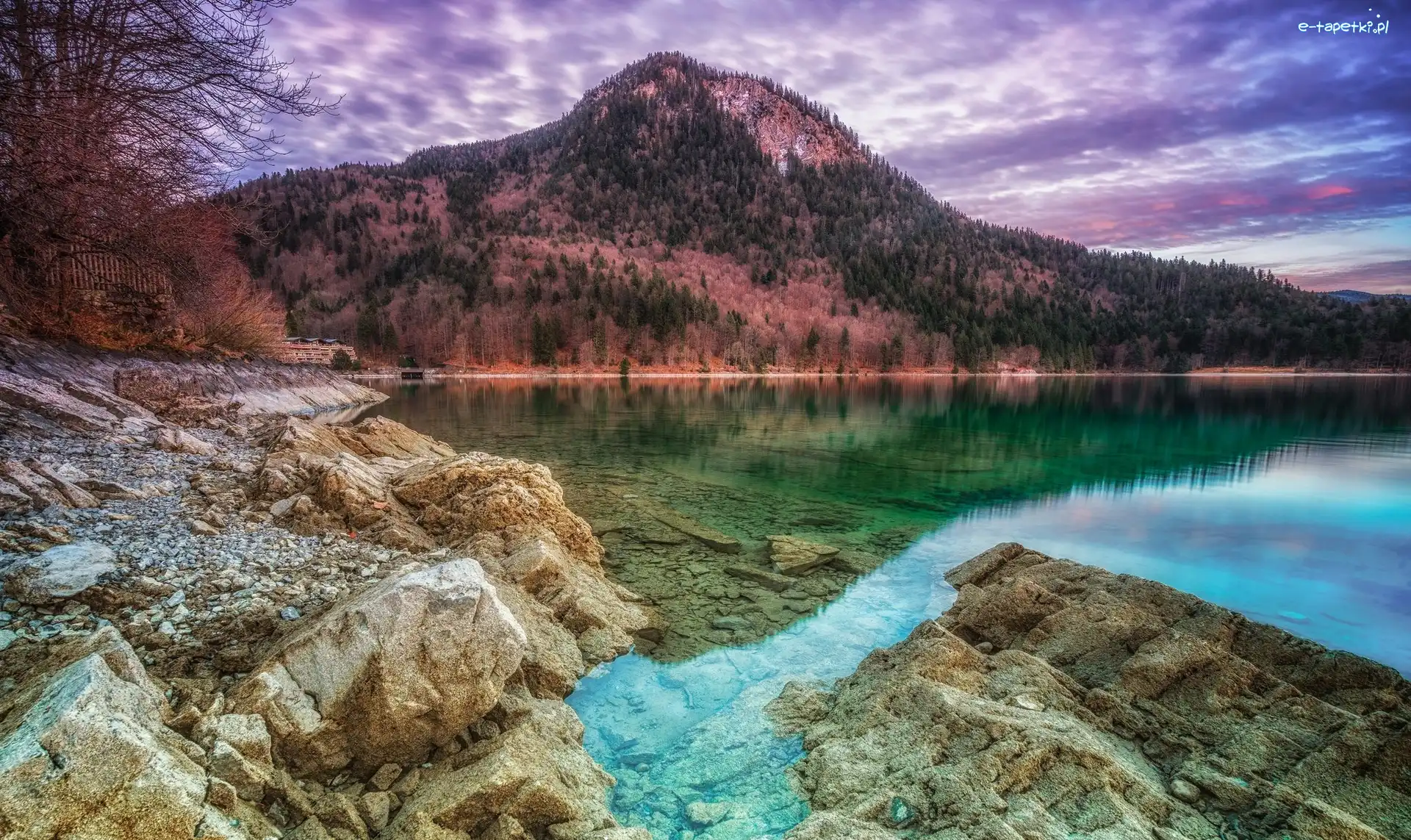 Kamienie, Drzewa, Góry, Jezioro