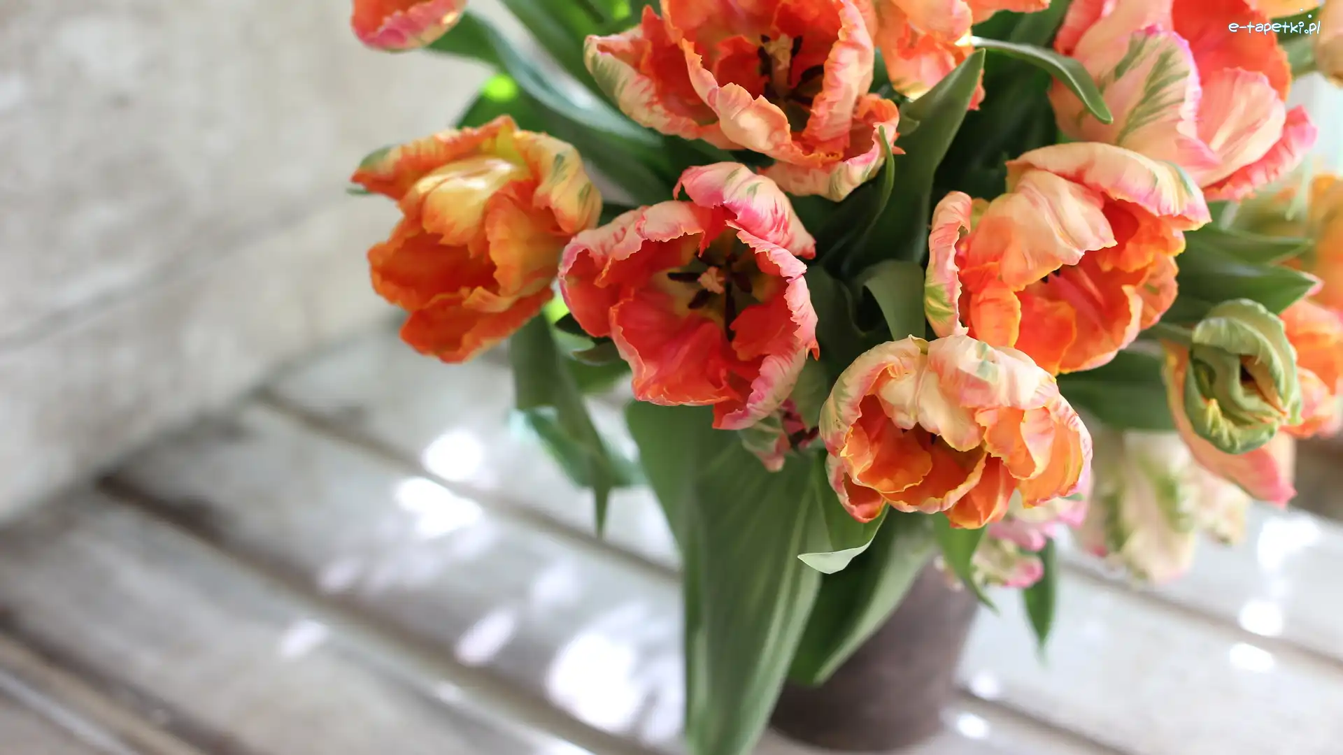 Wazon, Bukiet, Tulipany