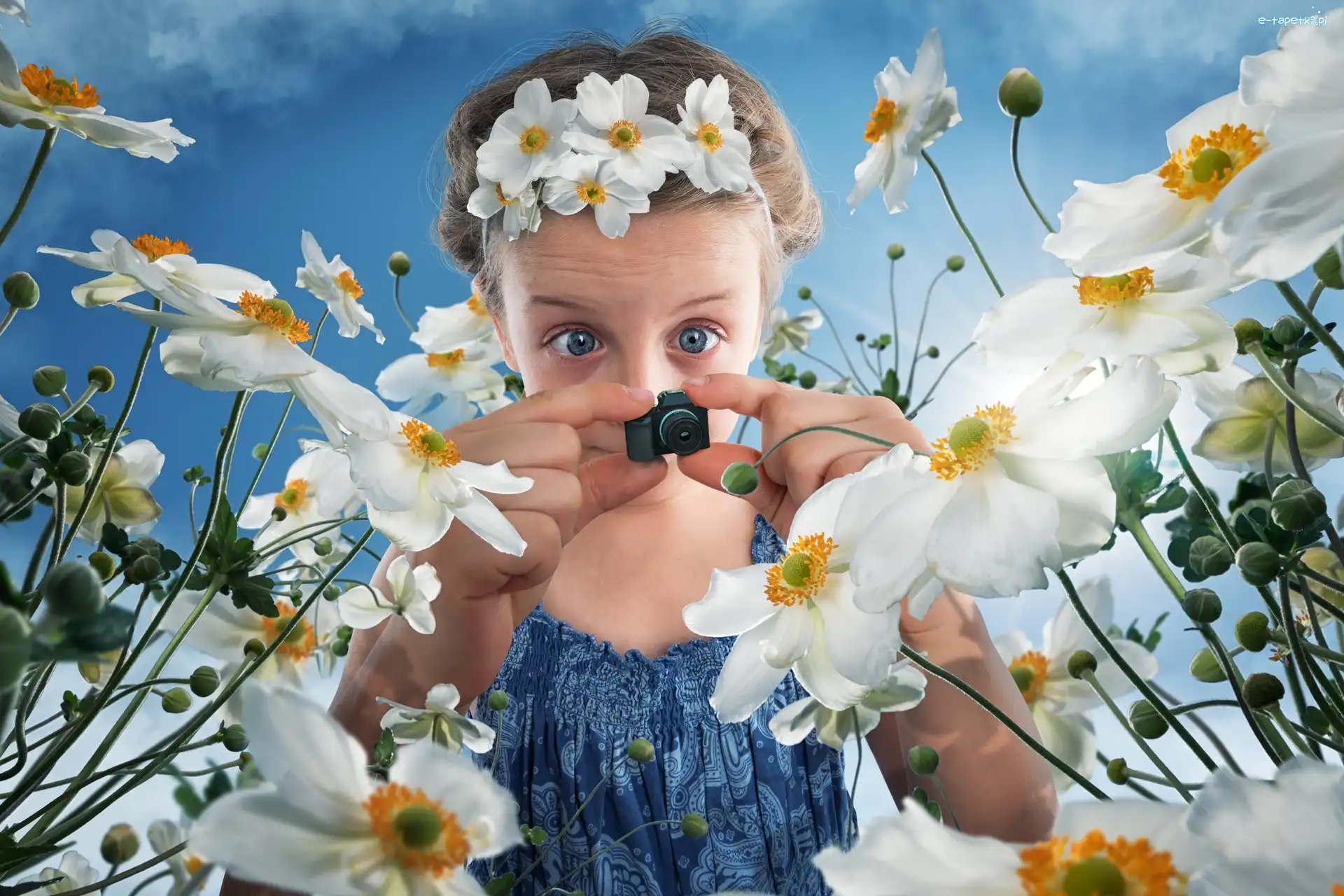 Dziewczynka, Zawilce, Kwiaty, Śmieszne, Aparat fotograficzny