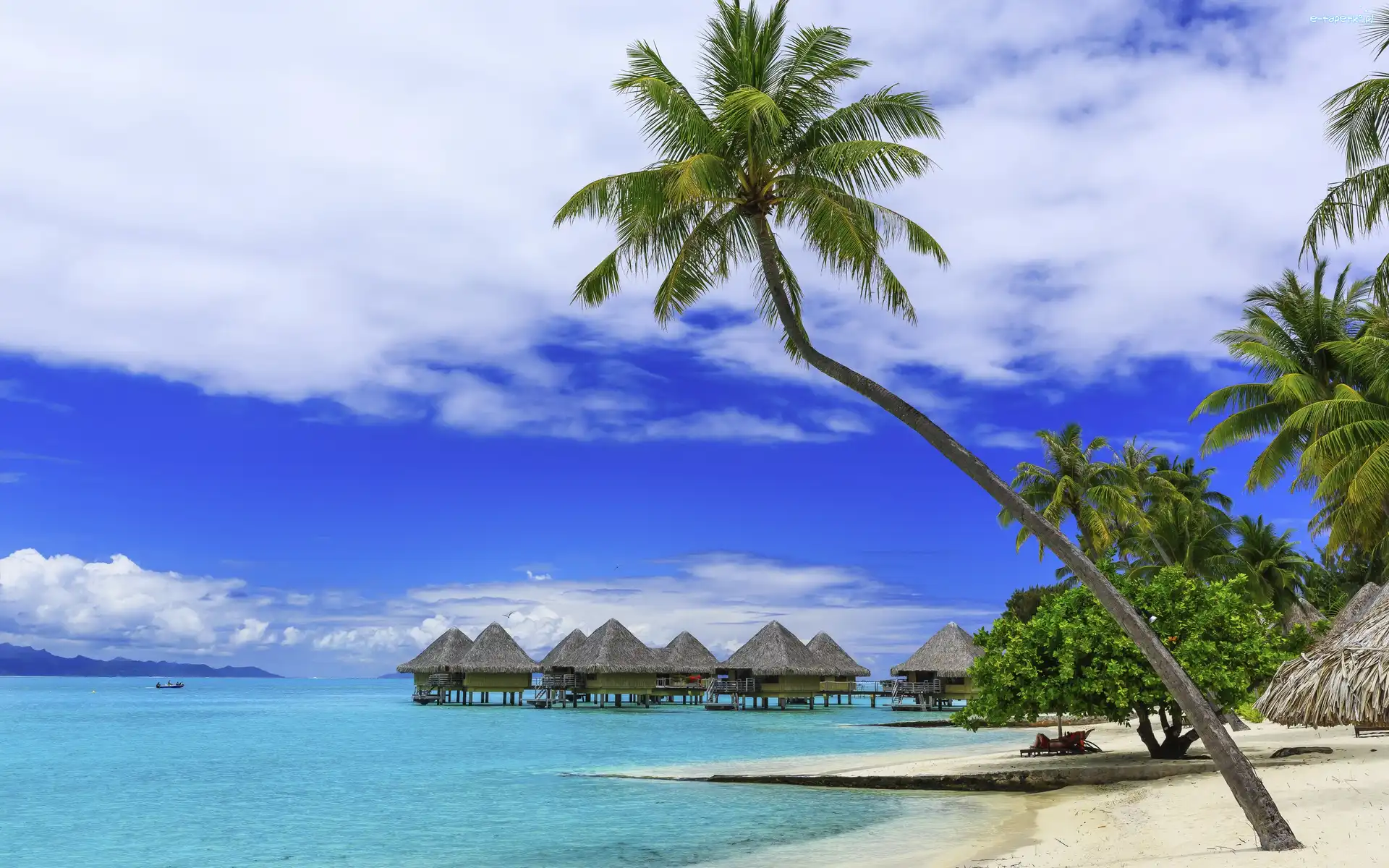 Domki, Palmy, Wakacje, Wyspa Moorea, Polinezja Francuska, Wakacje, Tropiki, Plaża, Kurort