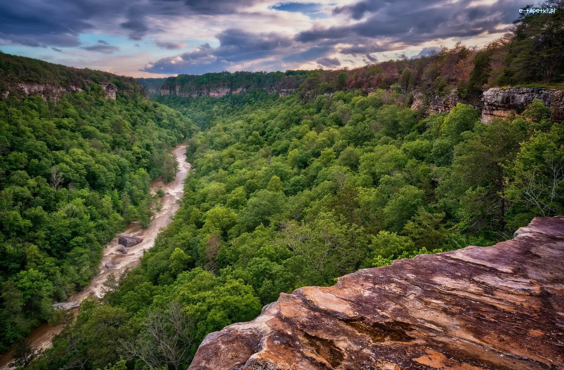 Drzewa, Rezerwat Narodowy Little River Canyon, Rzeka, Skały, Stan Alabama, Stany Zjednoczone