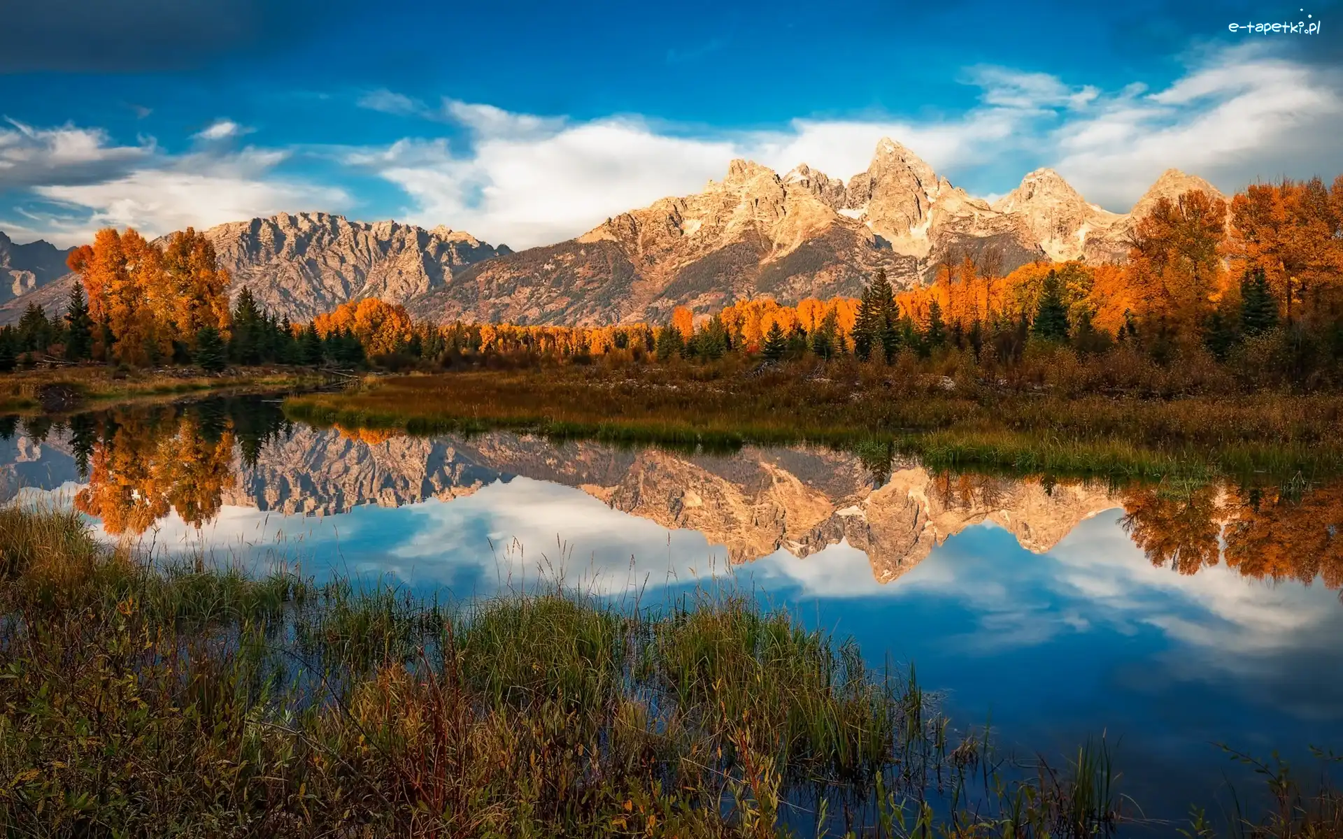 Roślinność, Park Narodowy Grand Teton, Góry, Stan Wyoming, Stany Zjednoczone, Drzewa, Rzeka Snake River