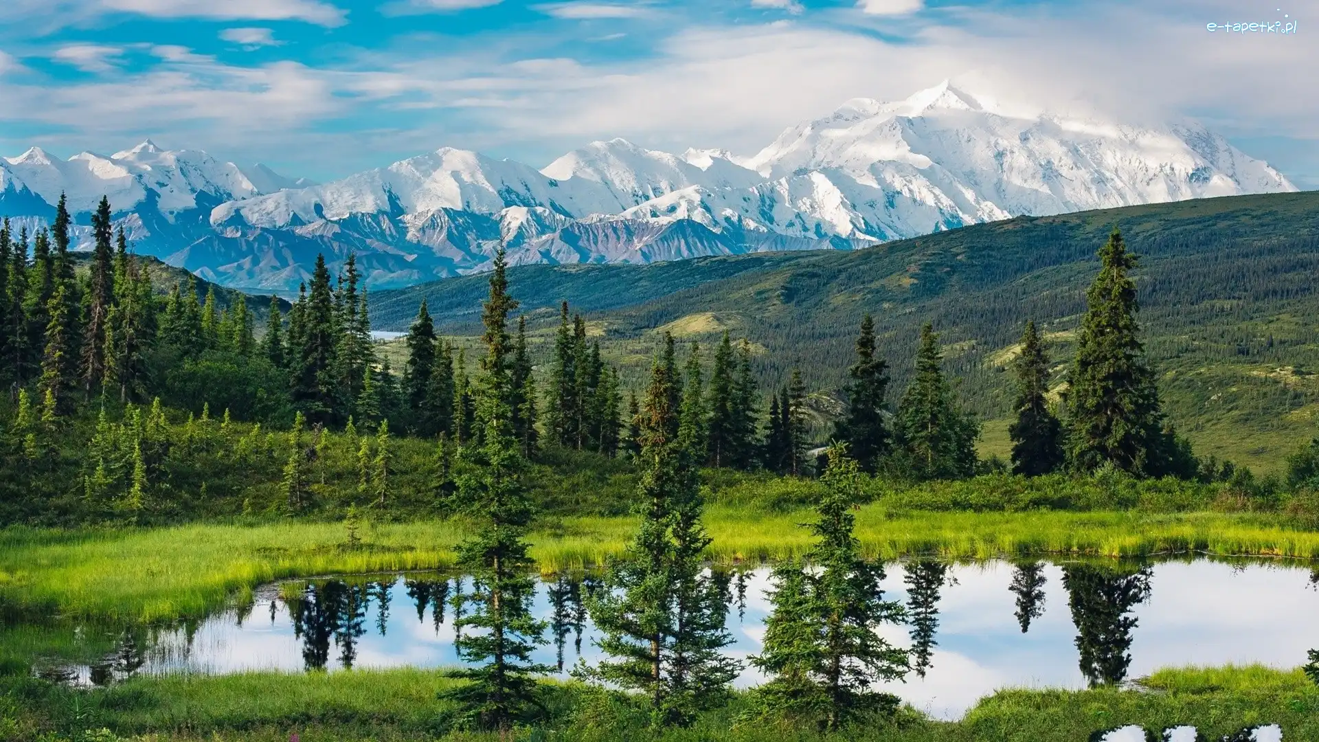 Drzewa, Góry, Park Narodowy Denali, Jezioro, Alaska, Stany Zjednoczone
