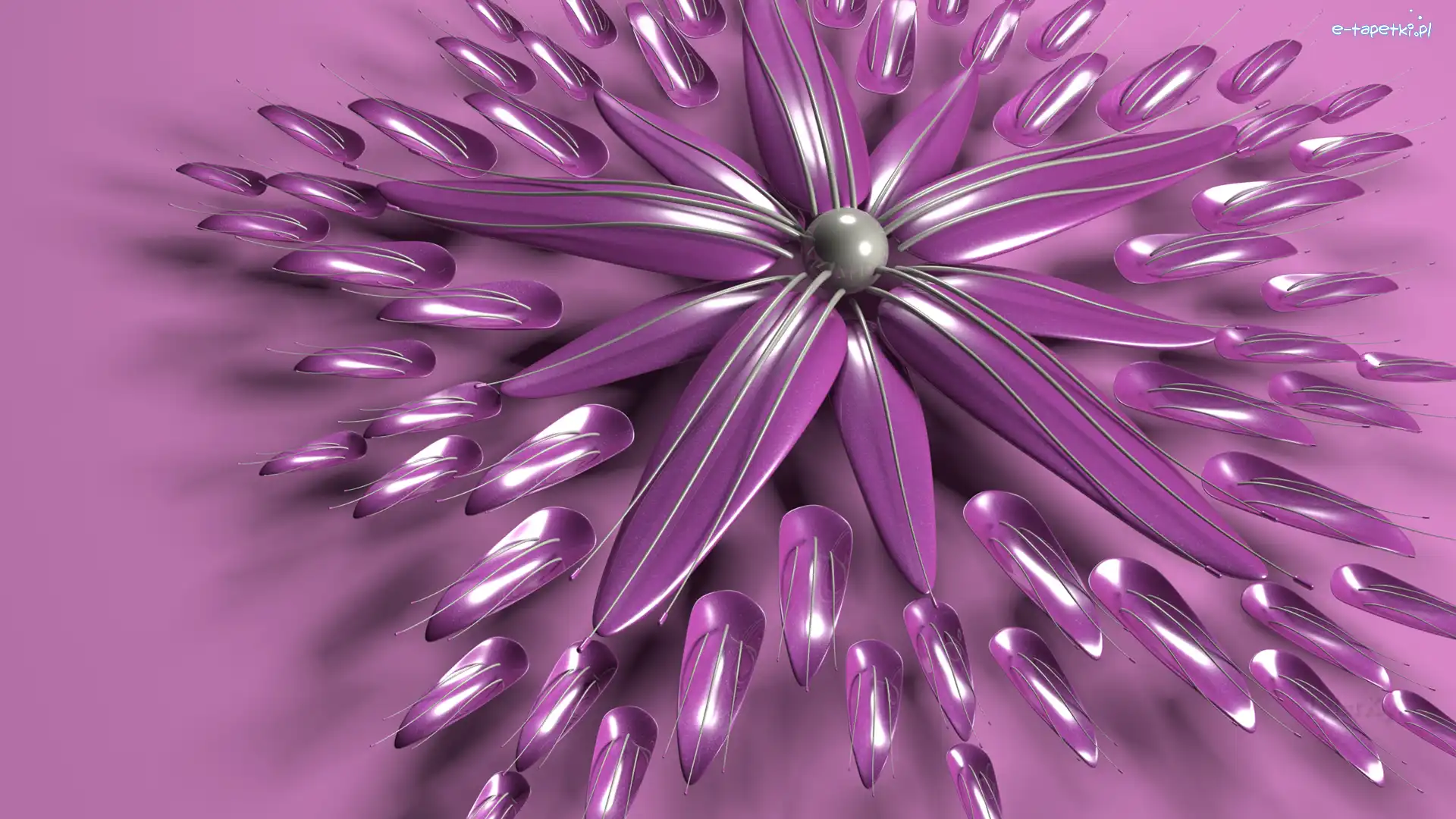Kwiat, Fioletowy, Grafika 3D