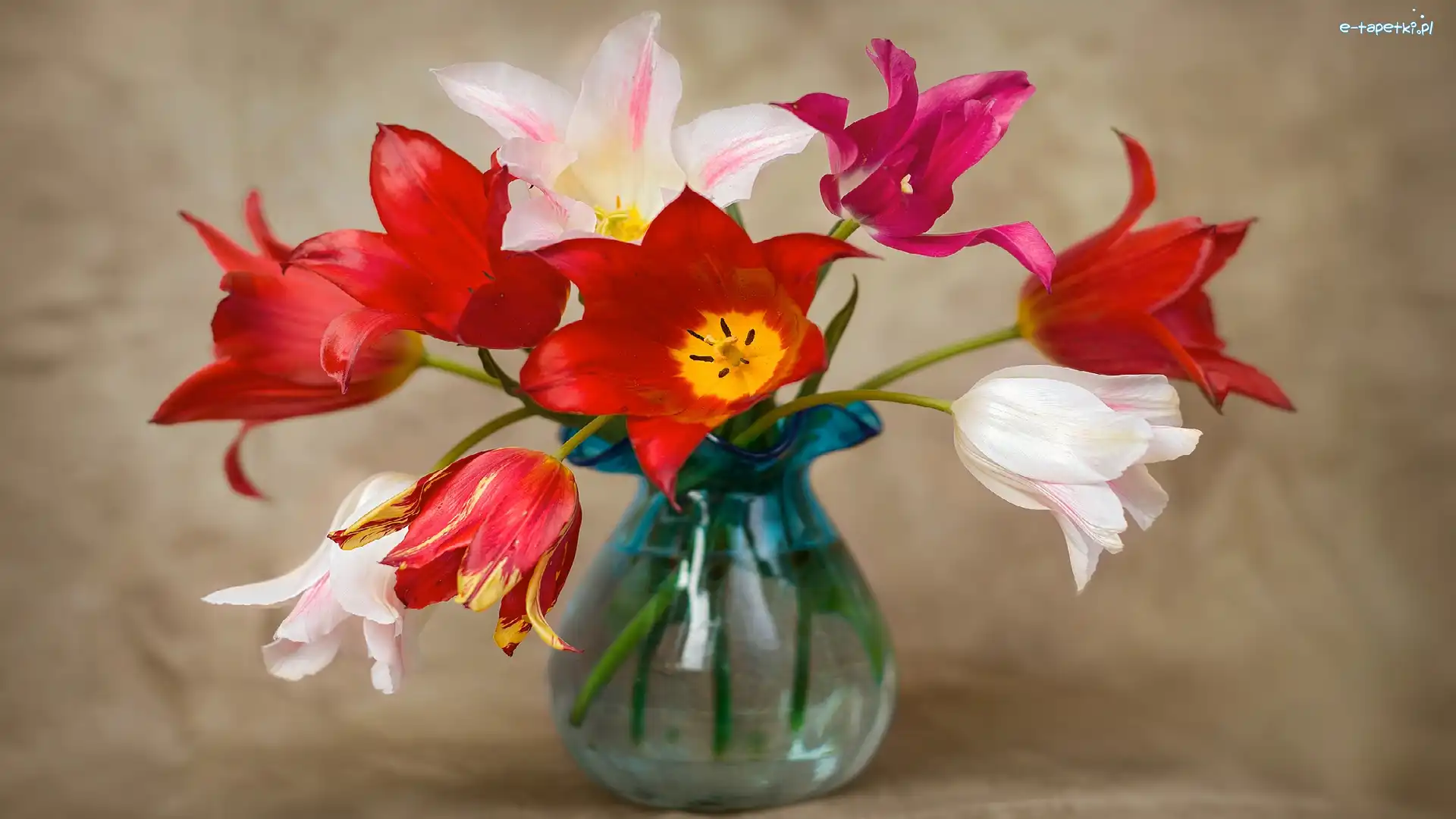 Tulipany, Wazon, Szklany, Kolorowe
