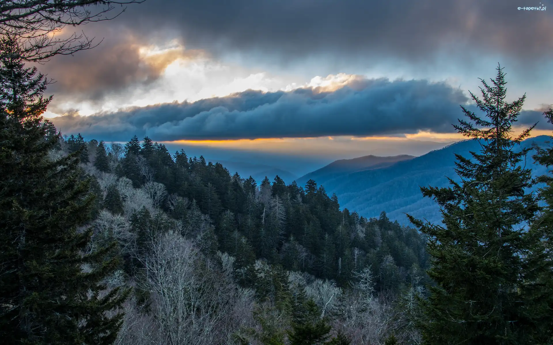 Chmury, Park Narodowy Great Smoky Mountains, Góry, Las, Stan Karolina Północna, Stany Zjednoczone