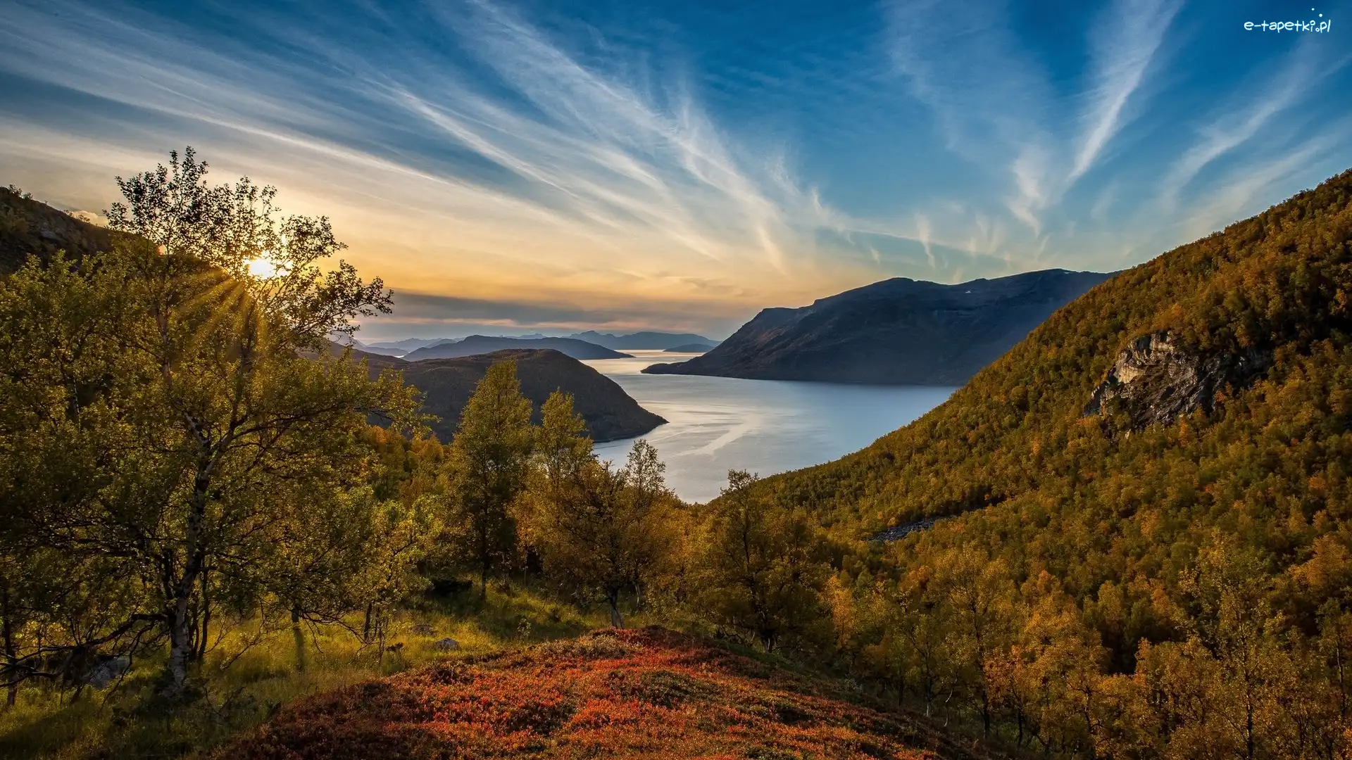 Promienie słońca, Wzgórza, Morze Norweskie, Burfjord, Norwegia, Drzewa, Wzgórza