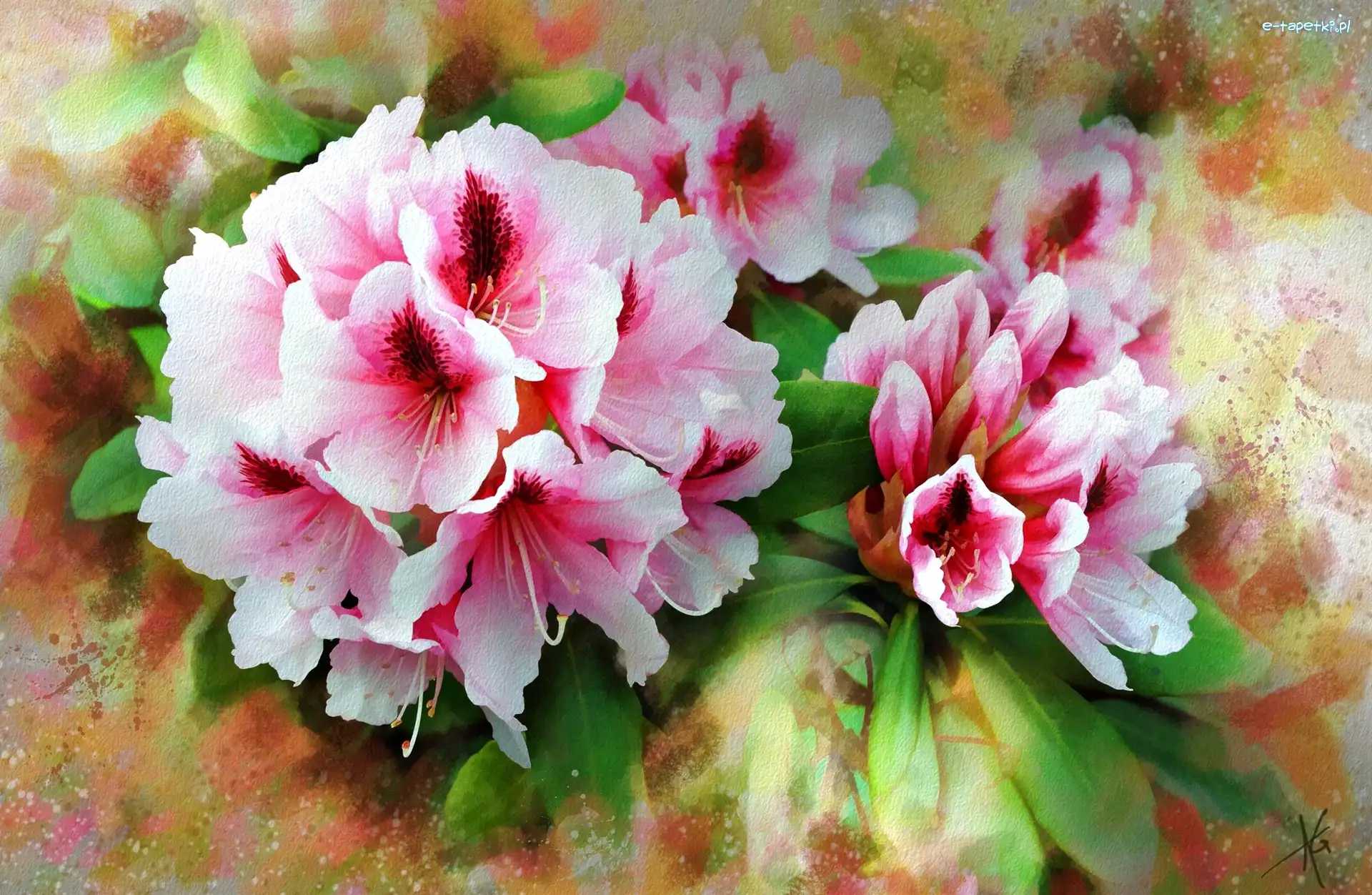 Obraz, Kwiaty, Akwarela, Alberto Guillen, Różanecznik, Rododendron