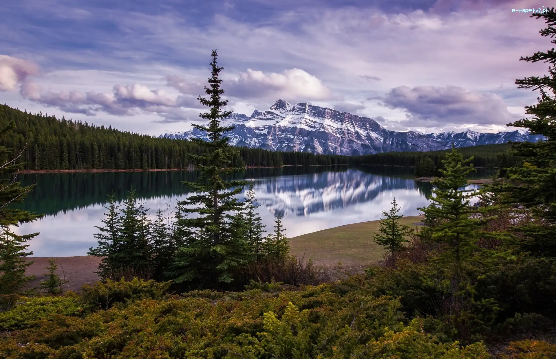 Świerki, Jezioro Vermilion, Góry, Park Narodowy Banff, Kanada, Lasy, Szczyt Mount Rundle